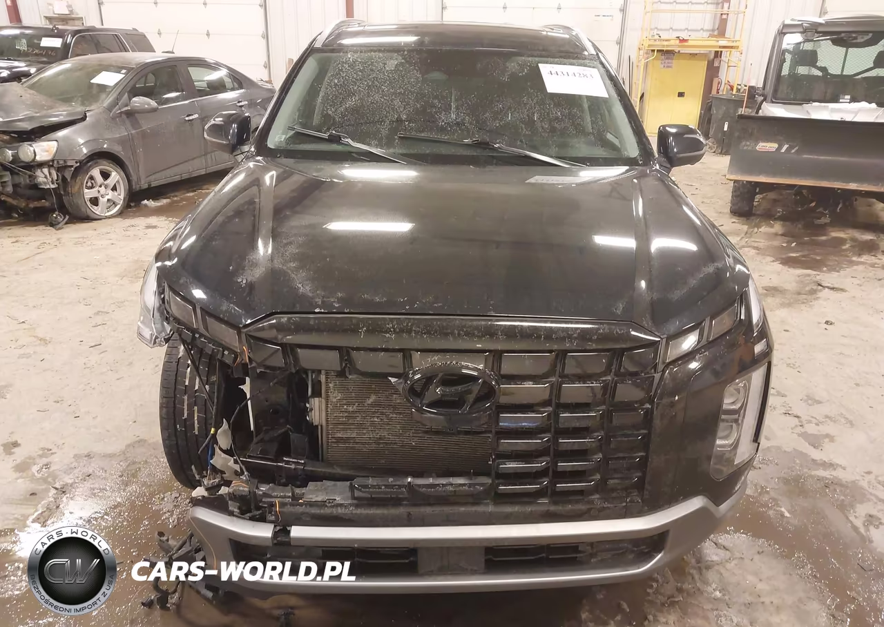 2023 Hyundai Palisade Sel VIN:KM8R4DGE3PU510877 - 12