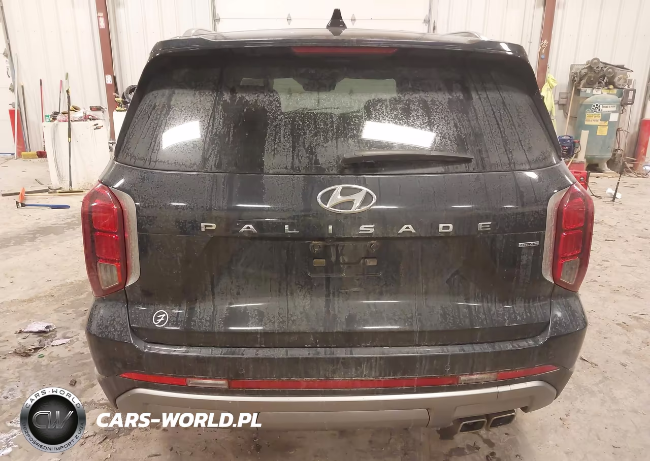 2023 Hyundai Palisade Sel VIN:KM8R4DGE3PU510877 - 16