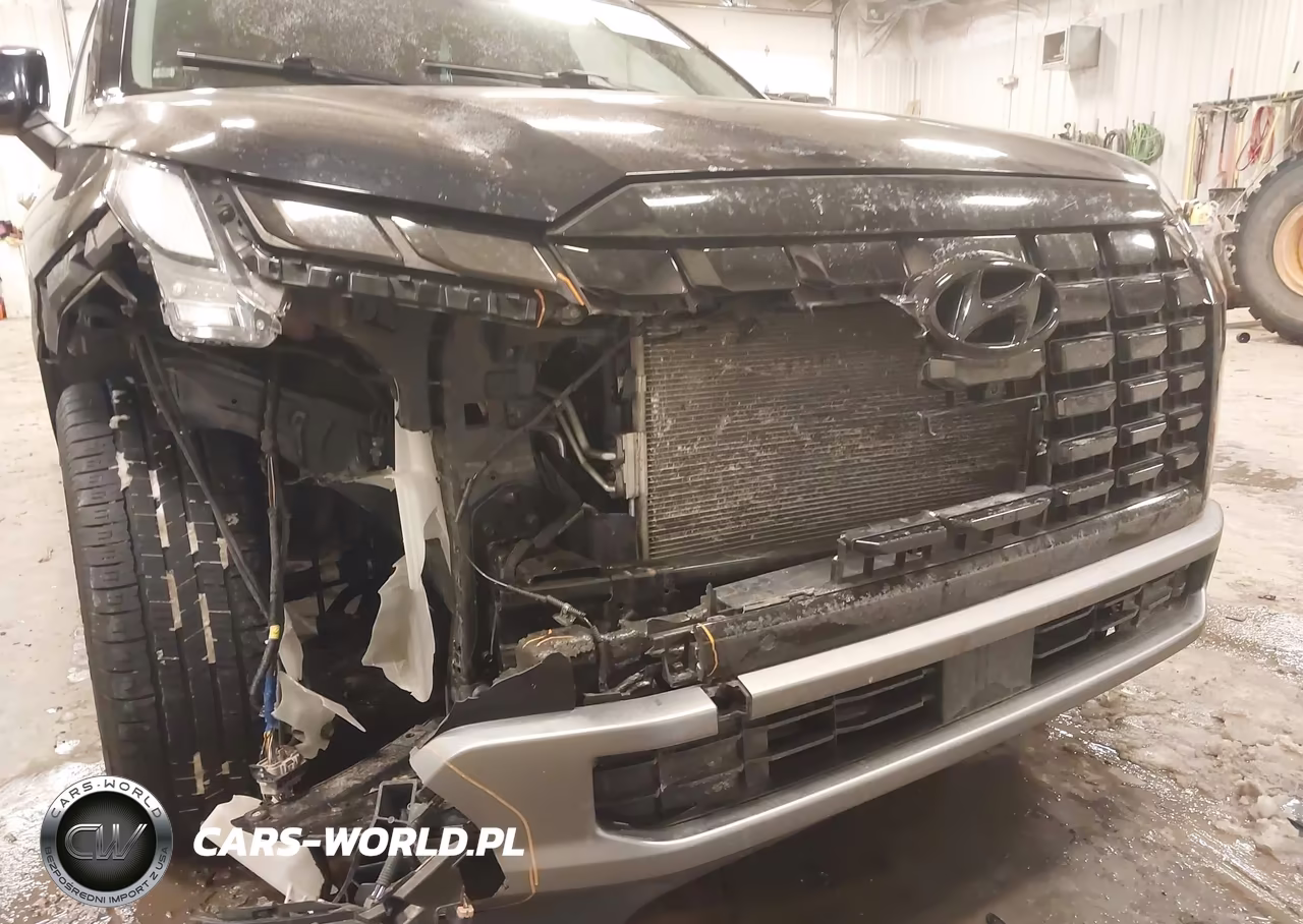 2023 Hyundai Palisade Sel VIN:KM8R4DGE3PU510877 - 6