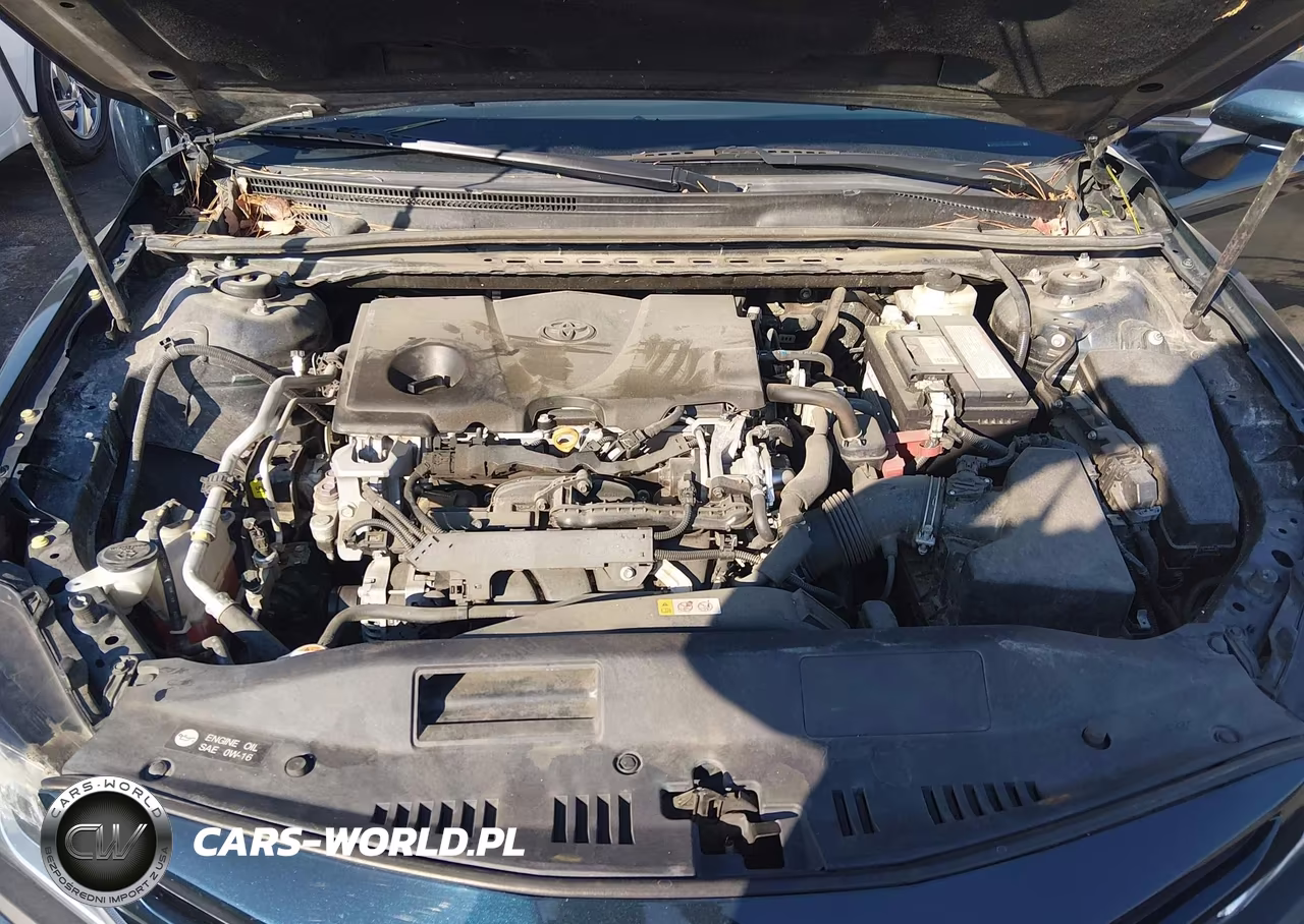 2019 Toyota Camry Se VIN:4T1B11HK0KU769817 - 10