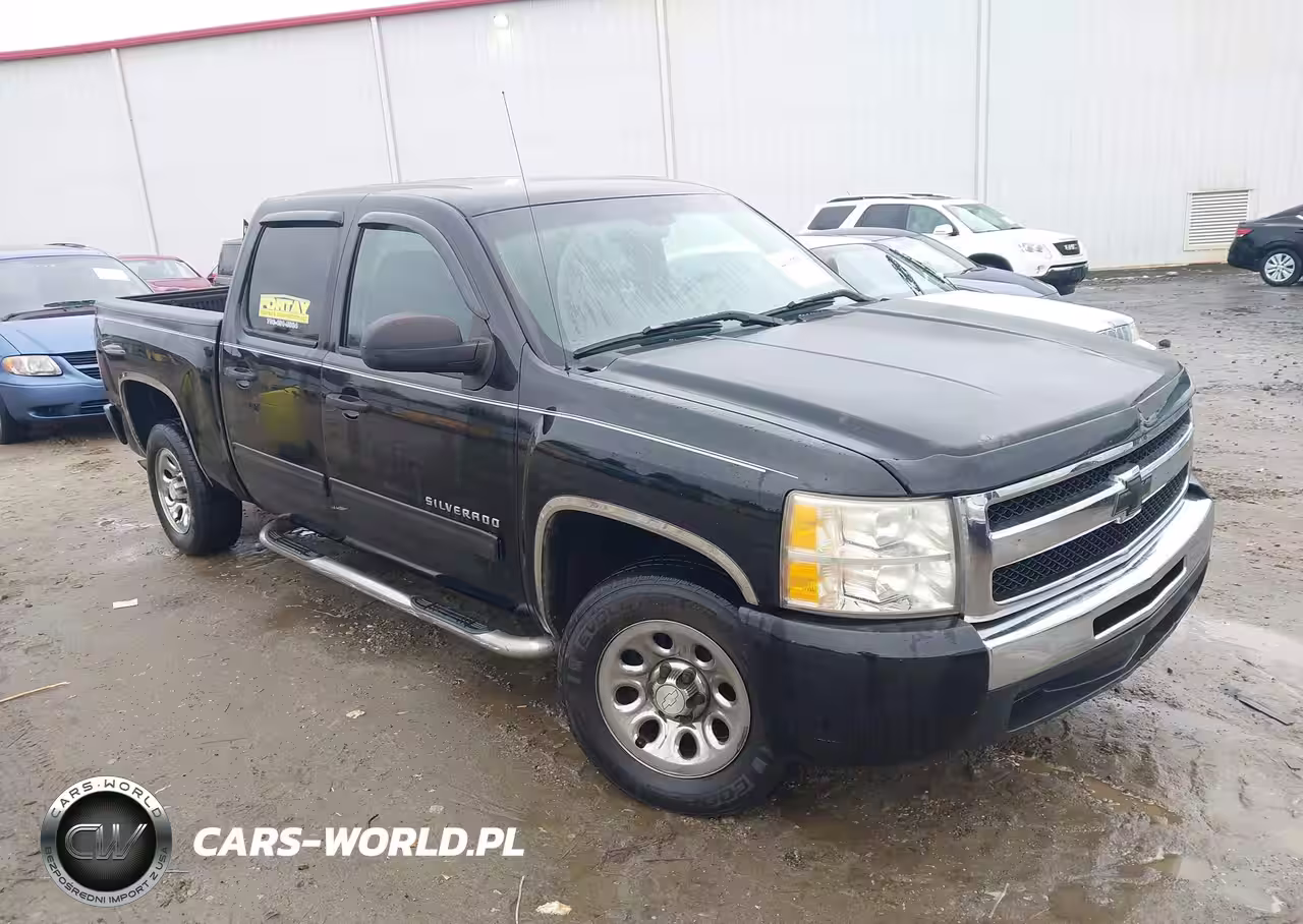 Główne zdjęcie 2010 Chevrolet Silverado 1500 Lt