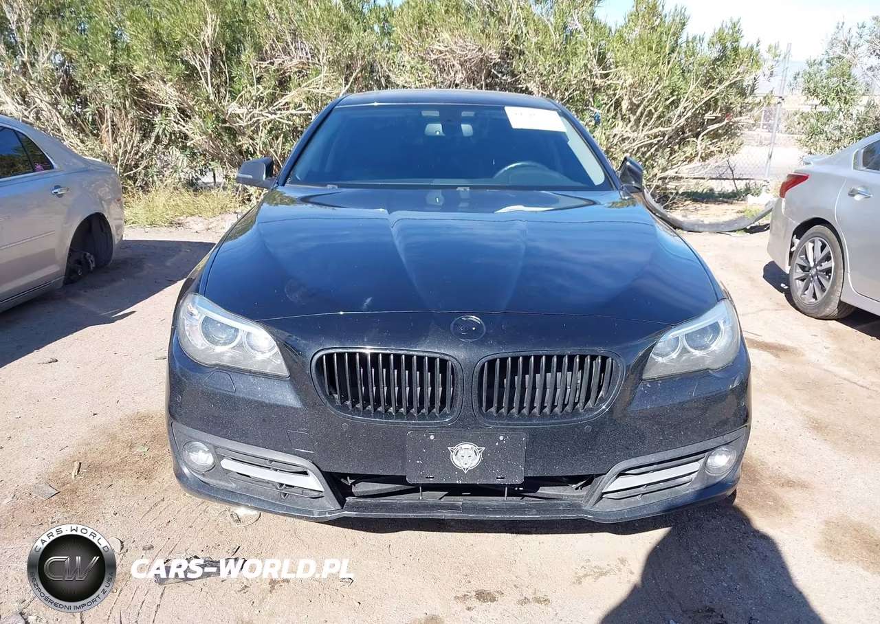 2016 BMW 528I VIN:WBA5A5C59GD528210 - 12