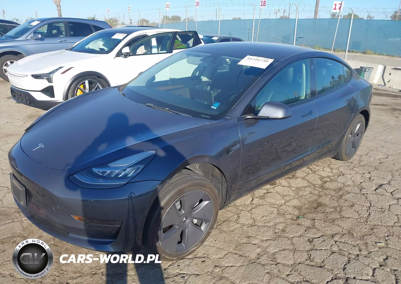 2022 Tesla Model 3 Rear-Wheel Drive VIN:5YJ3E1EA3NF298820 - 2