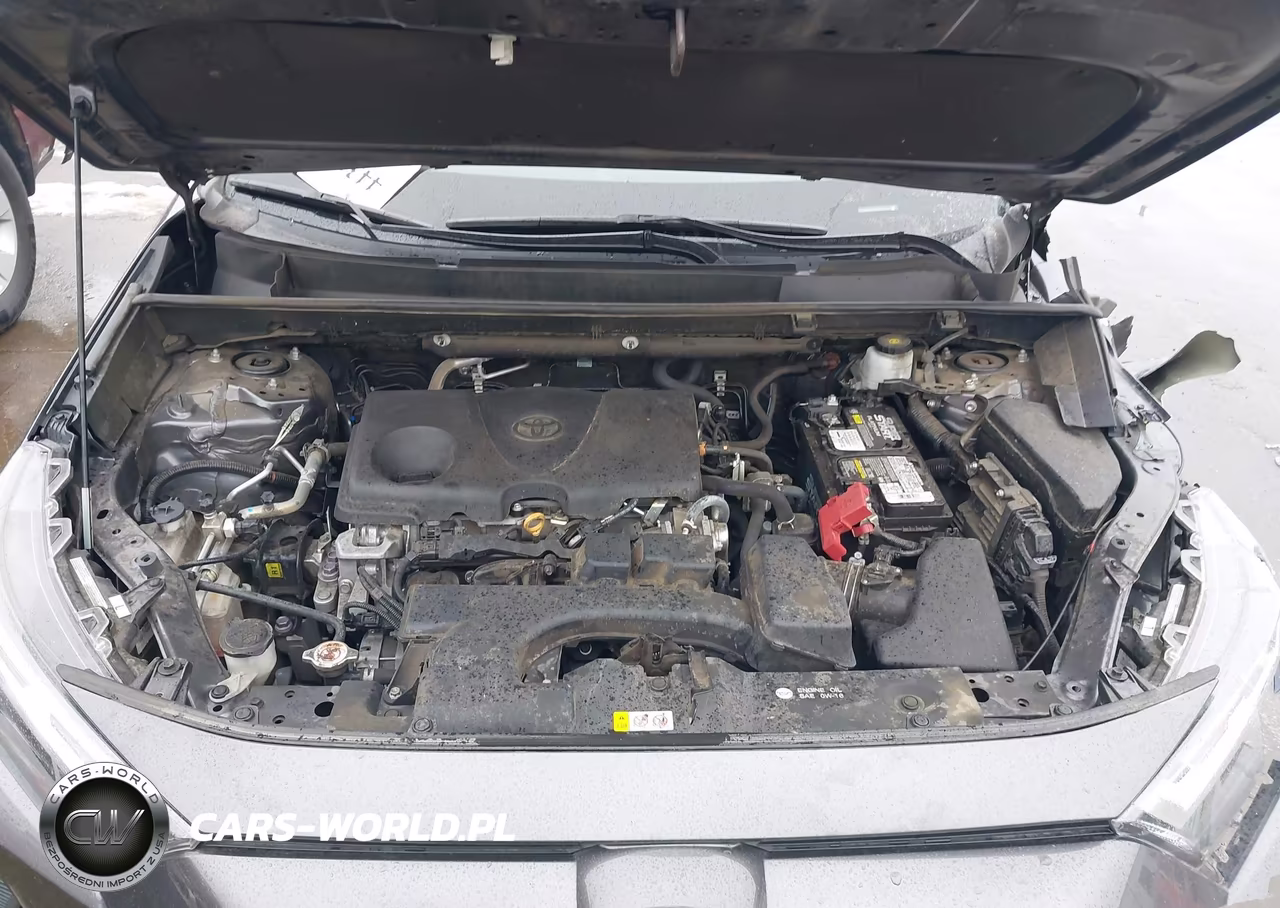 2022 Toyota Rav4 Xle VIN:2T3W1RFV9NC206792 - 10