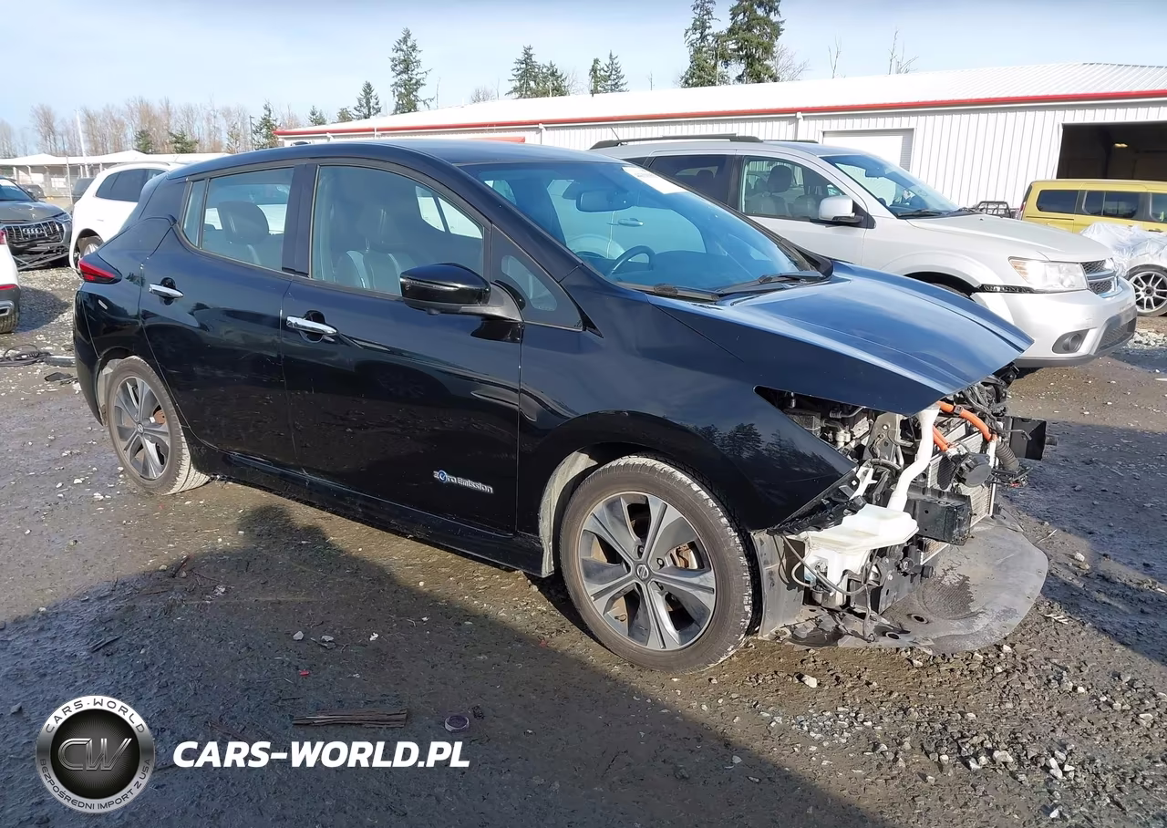 2019 Nissan Leaf Sl