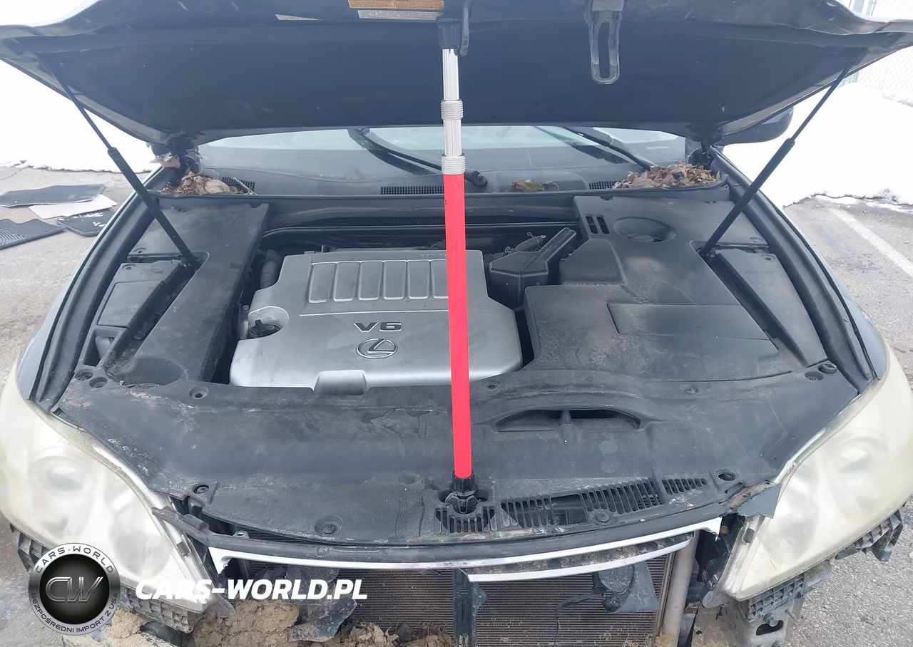 2007 Lexus Es 350 VIN:JTHBJ46G172097336 - 10