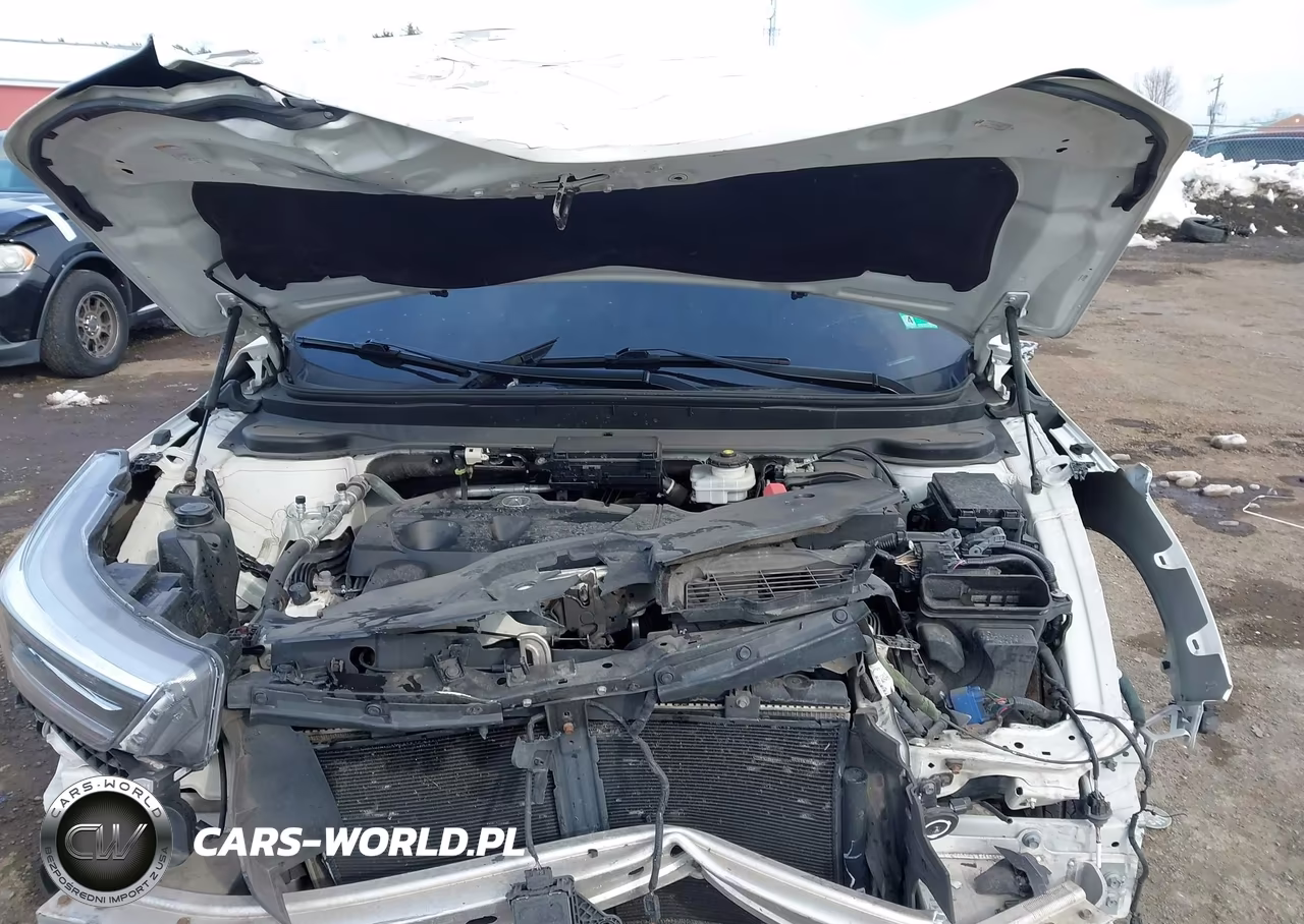 2019 Acura Rdx Advance Package VIN:5J8TC2H74KL004928 - 10