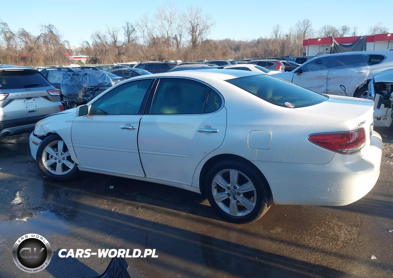 2005 Lexus Es 330 VIN:JTHBA30G655142060 - 13
