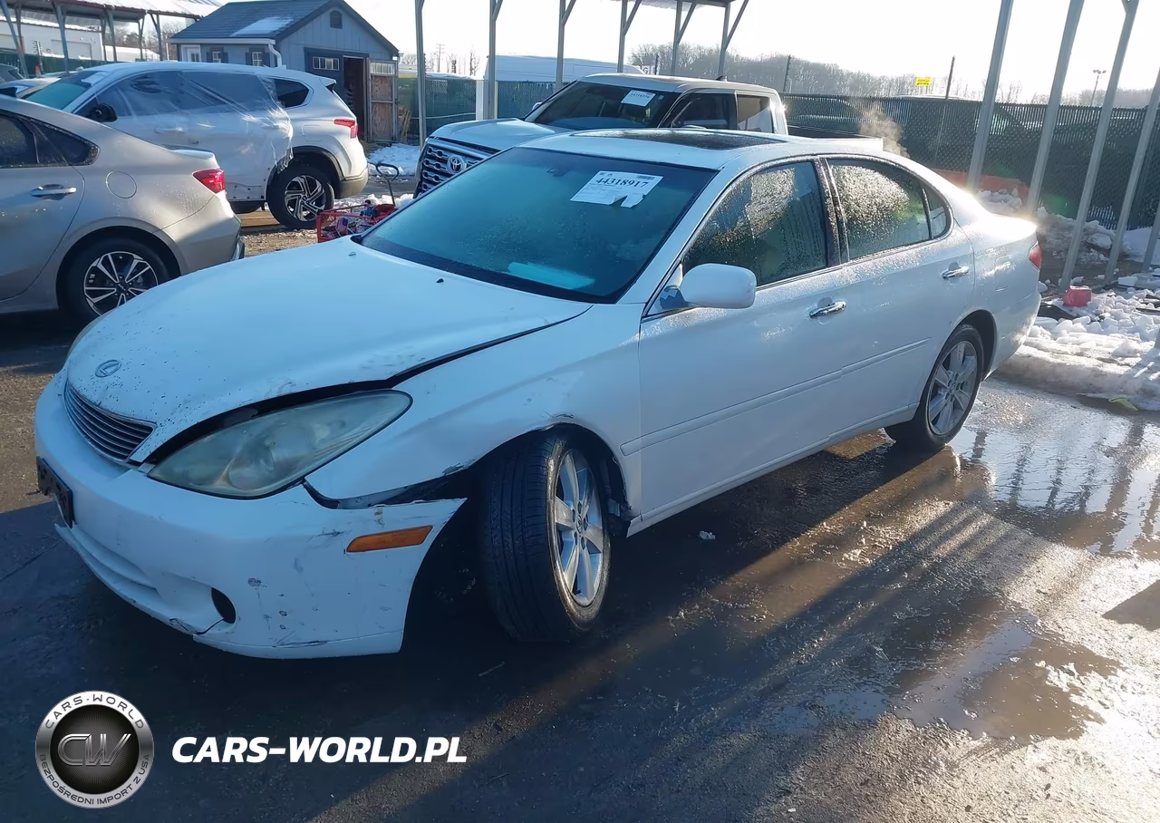 2005 Lexus Es 330 VIN:JTHBA30G655142060 - 2