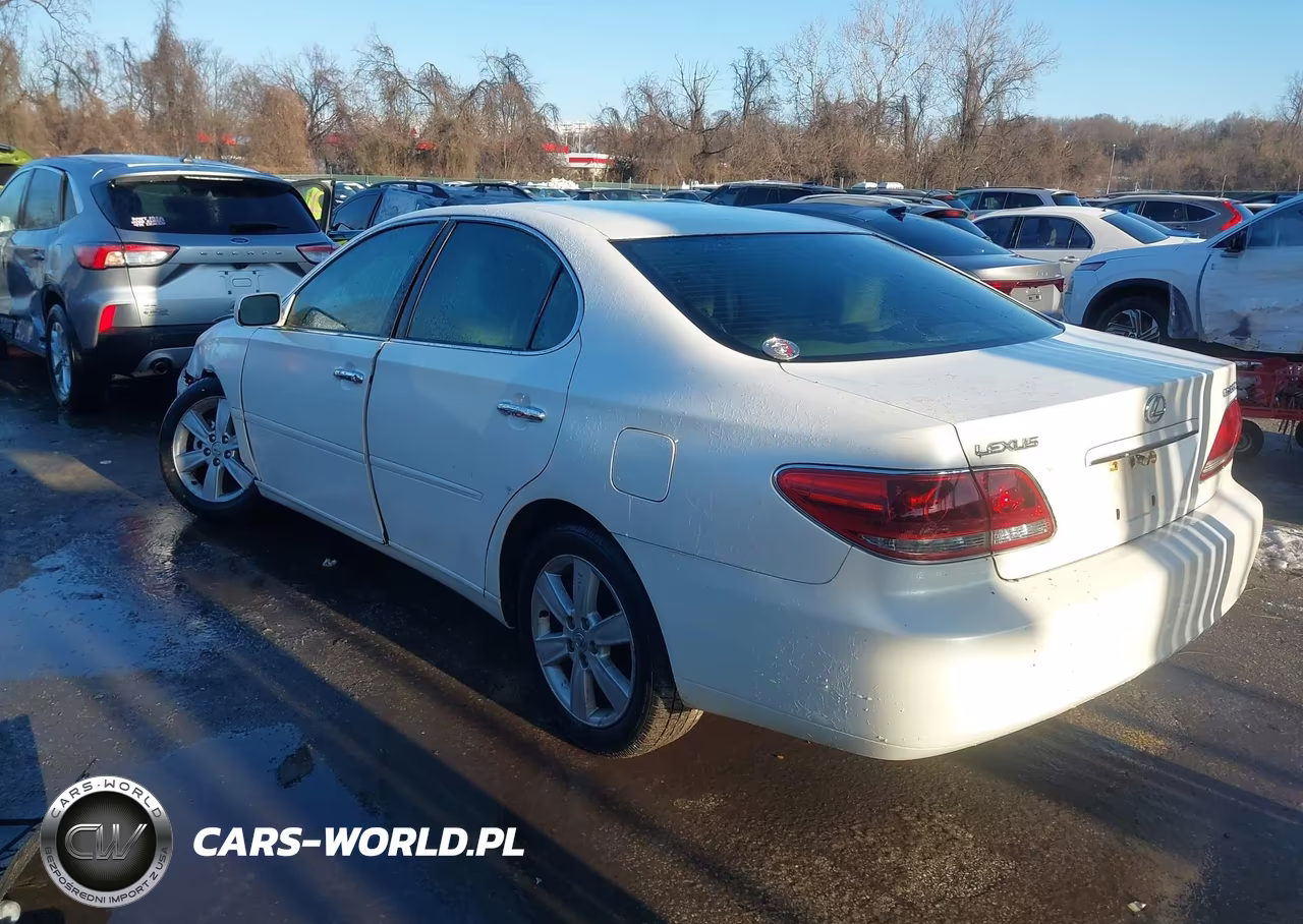 2005 Lexus Es 330 VIN:JTHBA30G655142060 - 3