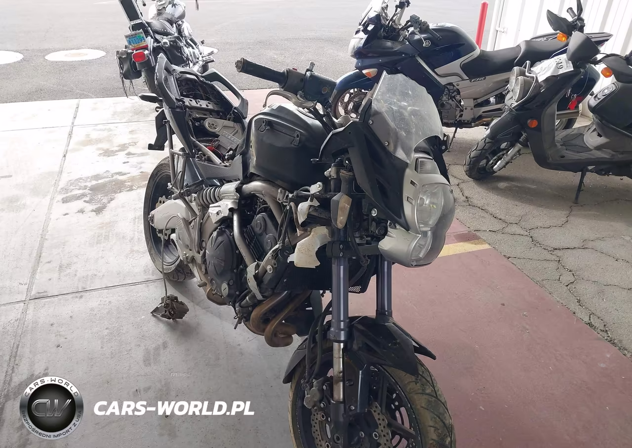 2010 Kawasaki Le650 C