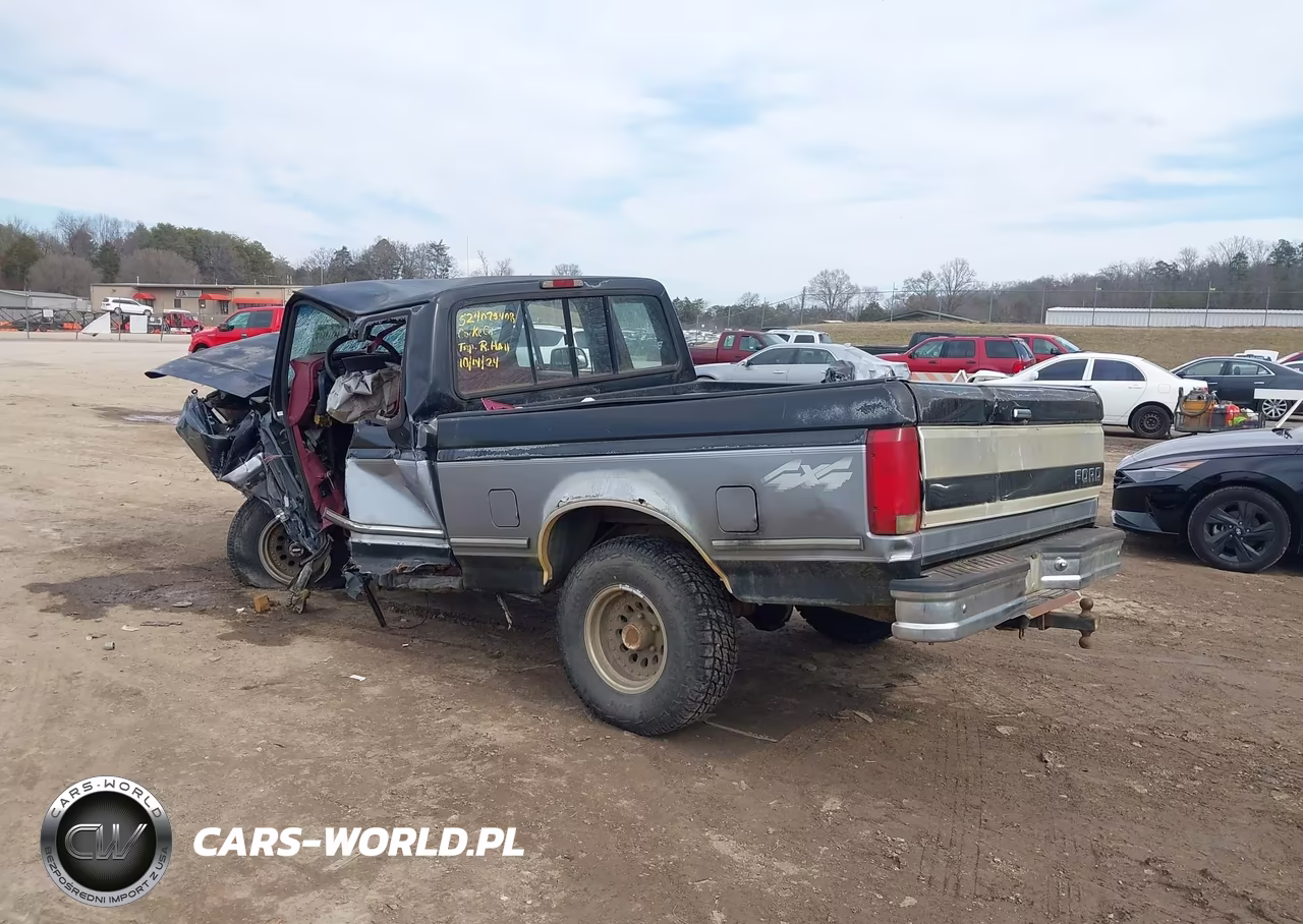 1995 Ford F150 VIN:1FTEX14N4SKB60550 - 3