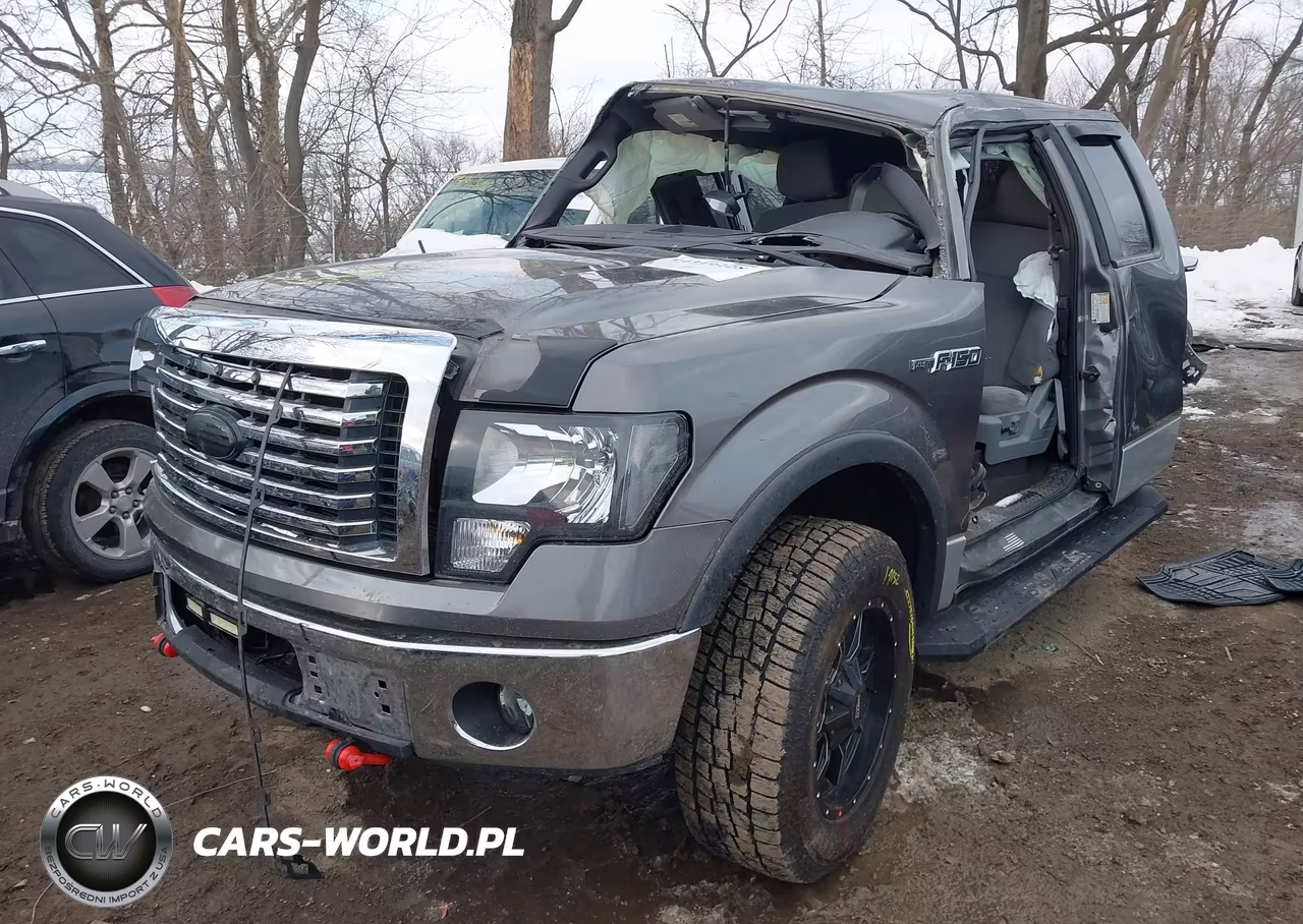2011 Ford F-150 Xlt VIN:1FTFX1EF5BFA84258 - 2