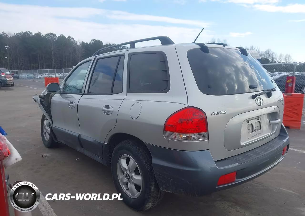 2005 Hyundai Santa Fe Gls VIN:KM8SC13D05U865504 - 3