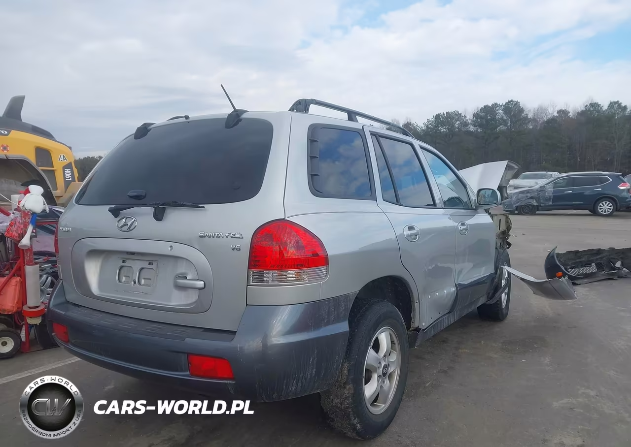 2005 Hyundai Santa Fe Gls VIN:KM8SC13D05U865504 - 4