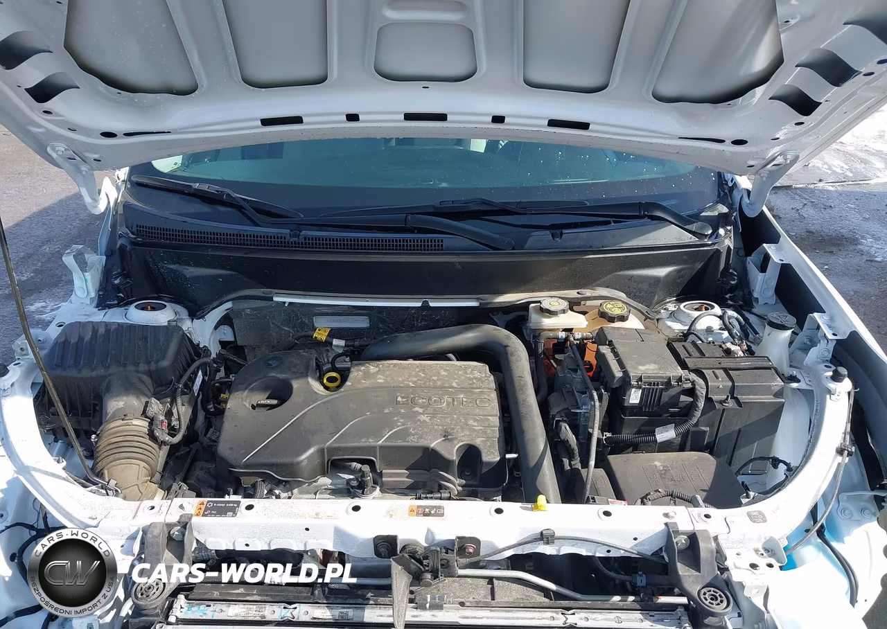 2023 Chevrolet Equinox Fwd Ls VIN:3GNAXHEG5PL224311 - 10