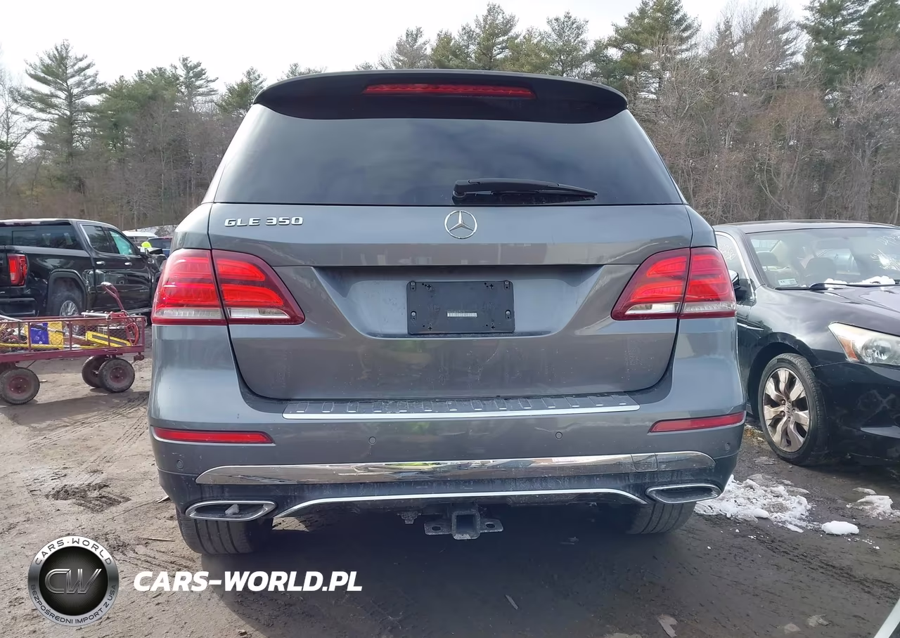 2018 Mercedes-Benz Gle 350 VIN:4JGDA5JB8JB156199 - 17