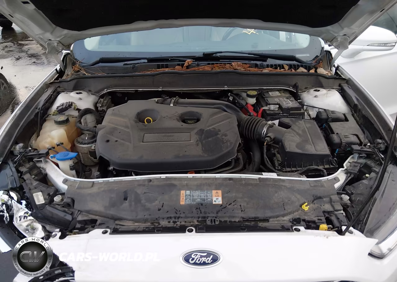 2015 Ford Fusion Titanium VIN:3FA6P0K91FR186261 - 10