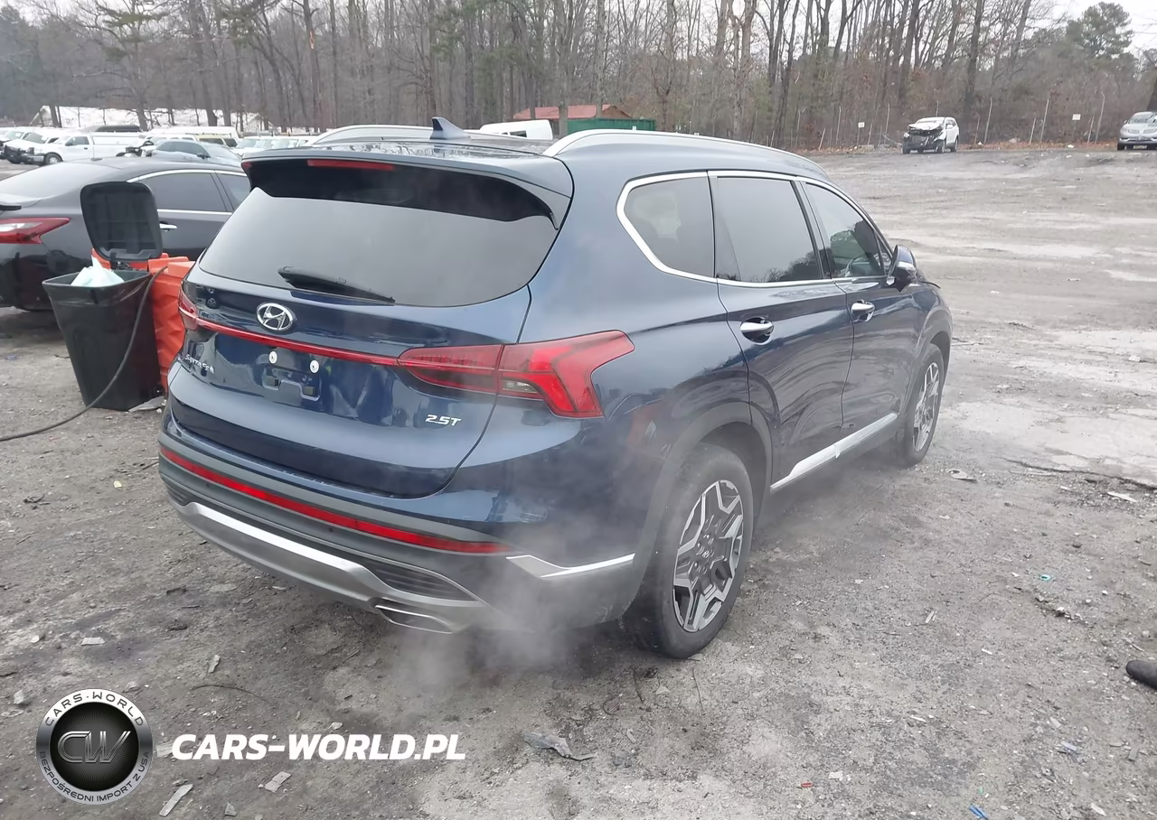 2023 Hyundai Santa Fe Limited VIN:5NMS44AL6PH483906 - 4