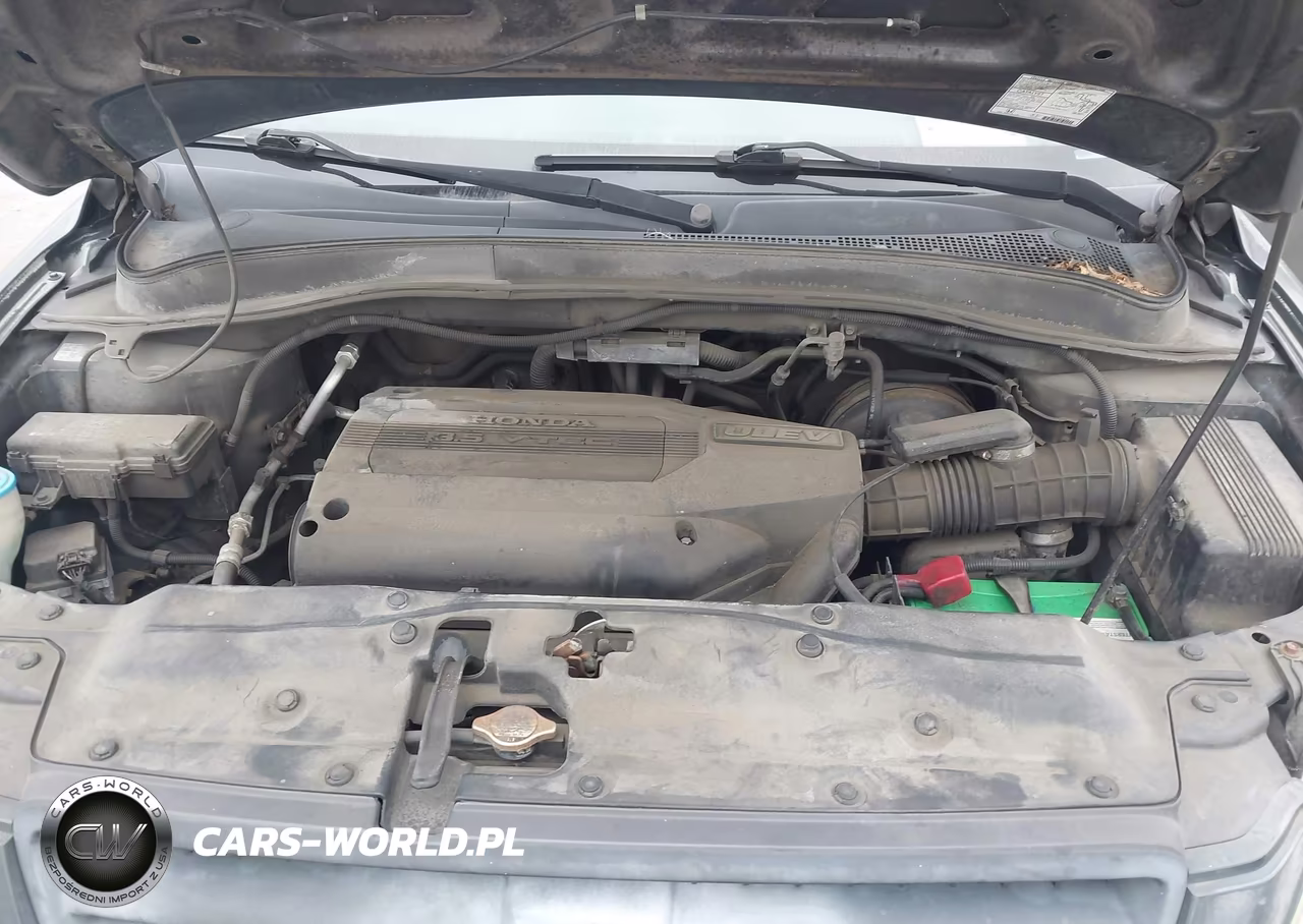 2004 Honda Pilot Ex-L VIN:2HKYF18514H545575 - 10