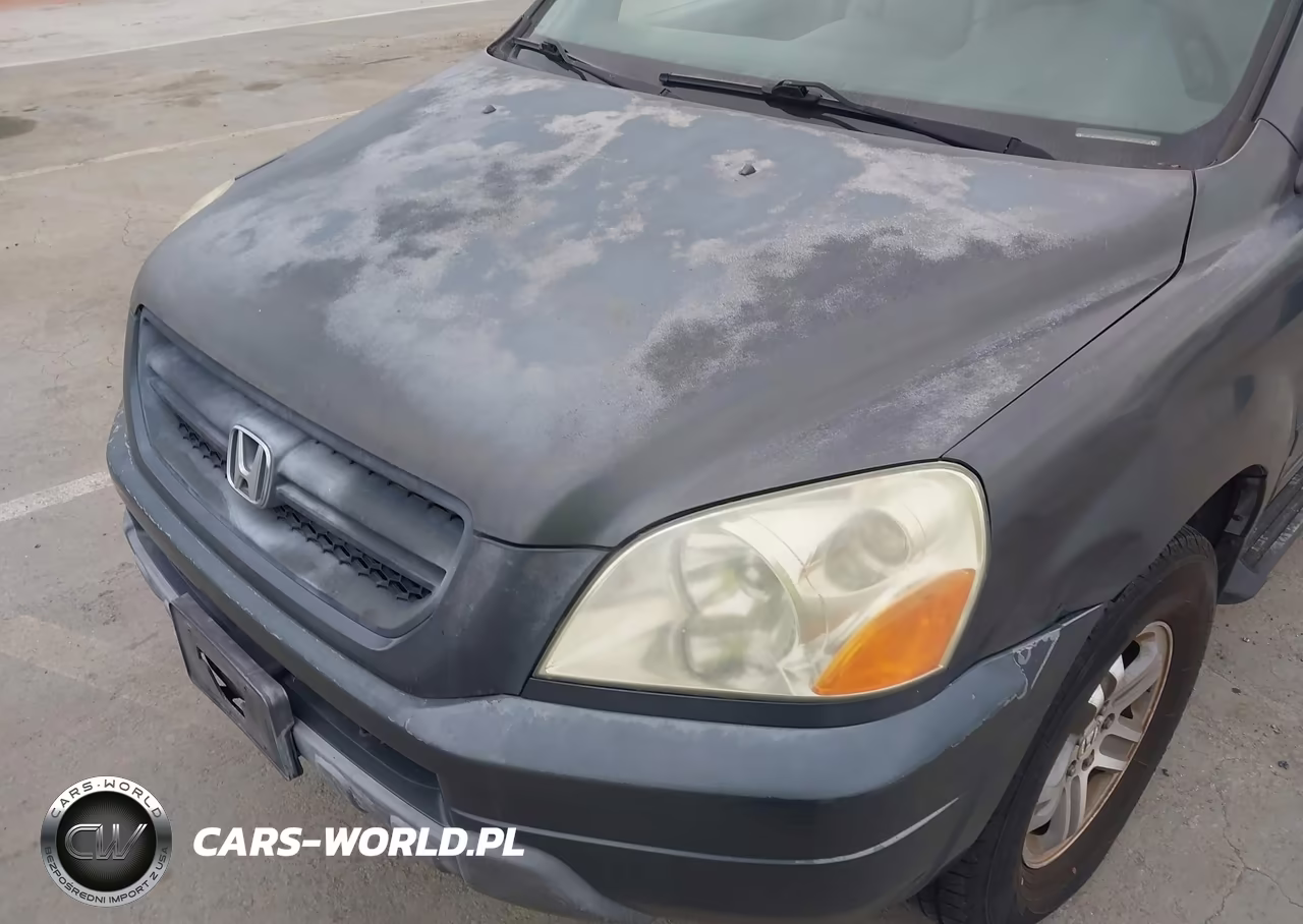 2004 Honda Pilot Ex-L VIN:2HKYF18514H545575 - 6