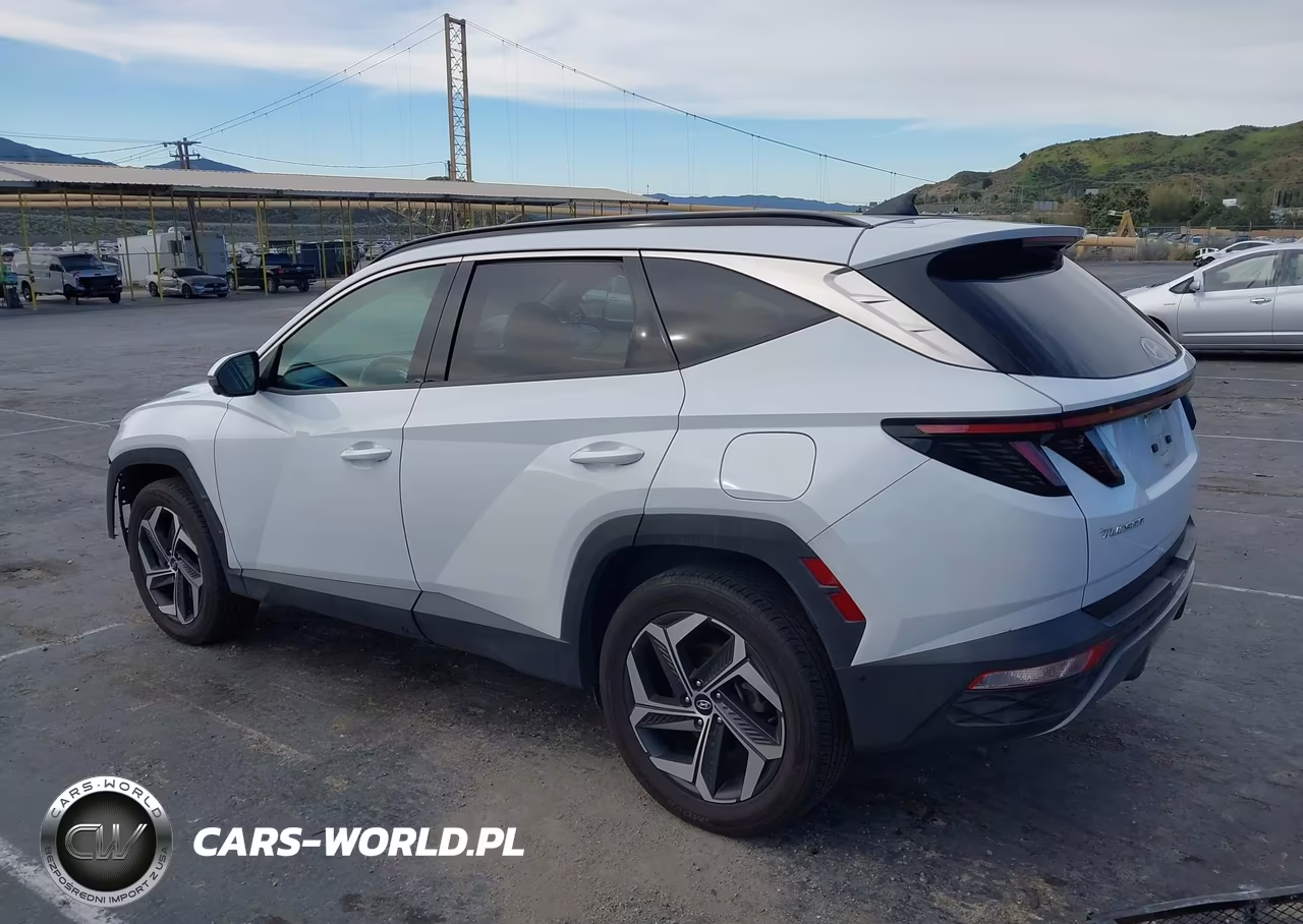 2022 Hyundai Tucson Limited VIN:5NMJECAE9NH034821 - 3