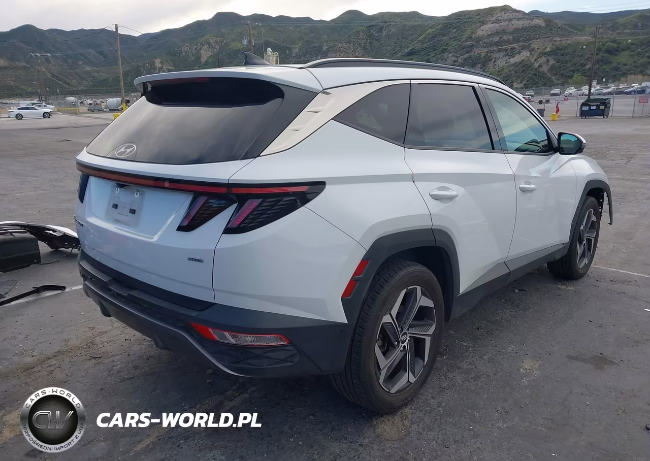 2022 Hyundai Tucson Limited VIN:5NMJECAE9NH034821 - 4