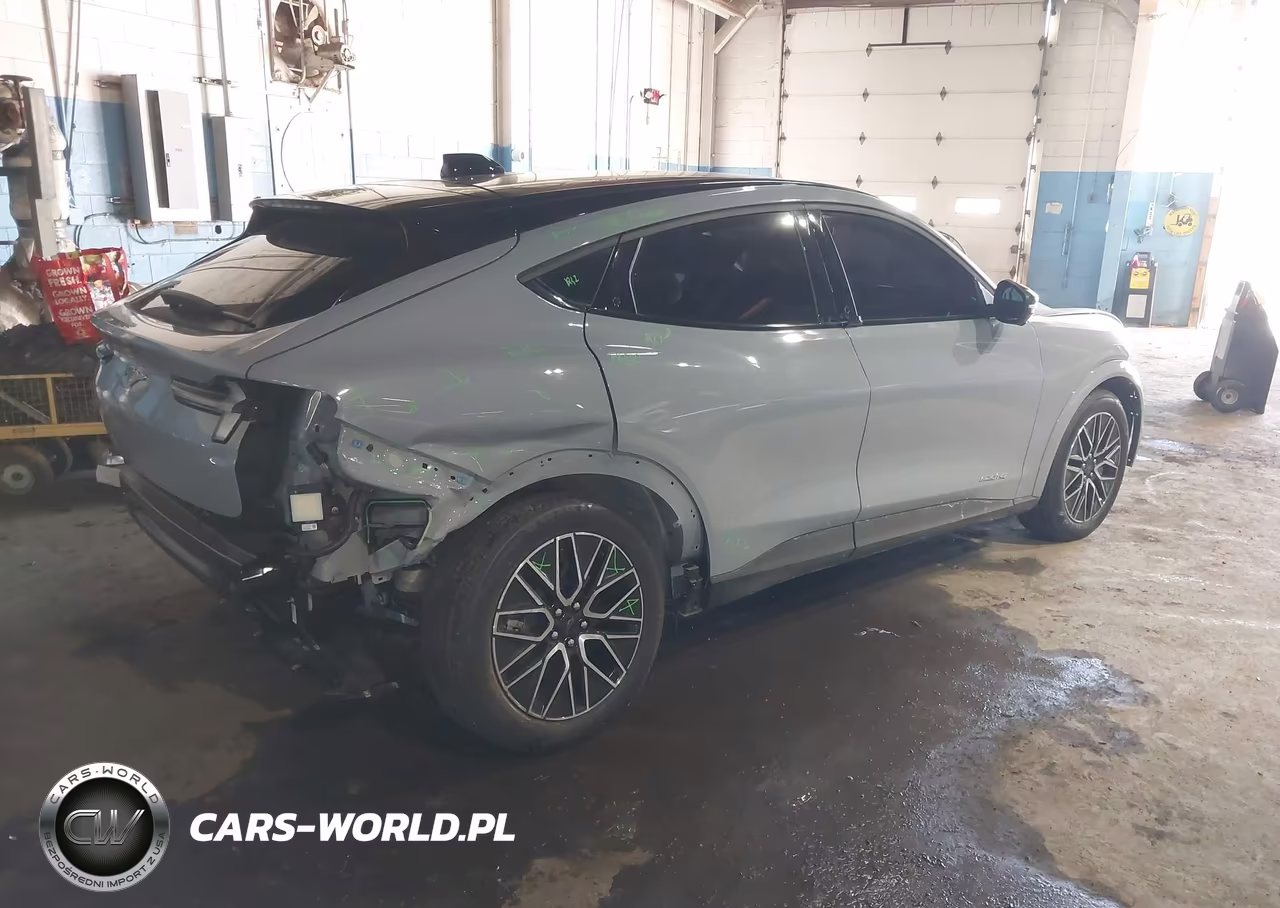 2025 Ford Mustang Mach-E Premium VIN:3FMTK3S5XSMA38266 - 4