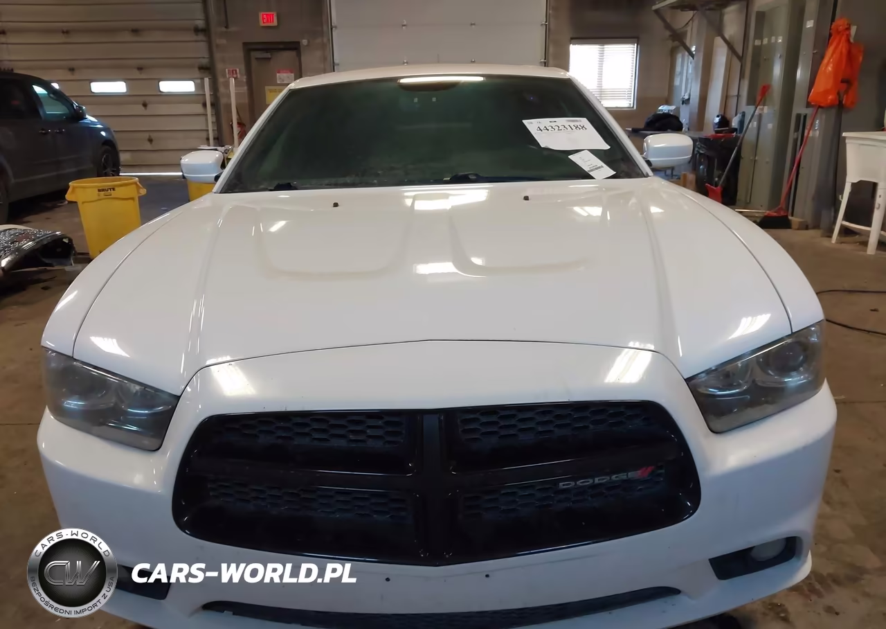 2014 Dodge Charger R-T VIN:2C3CDXCT2EH353699 - 12