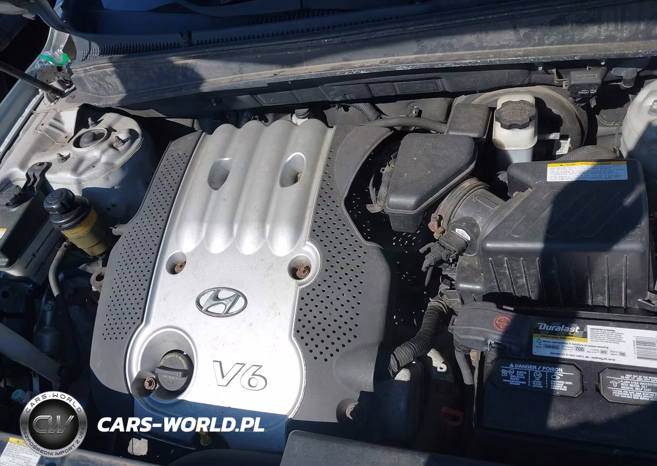 2007 Hyundai Santa Fe Gls VIN:KM8SG73D67U129077 - 10