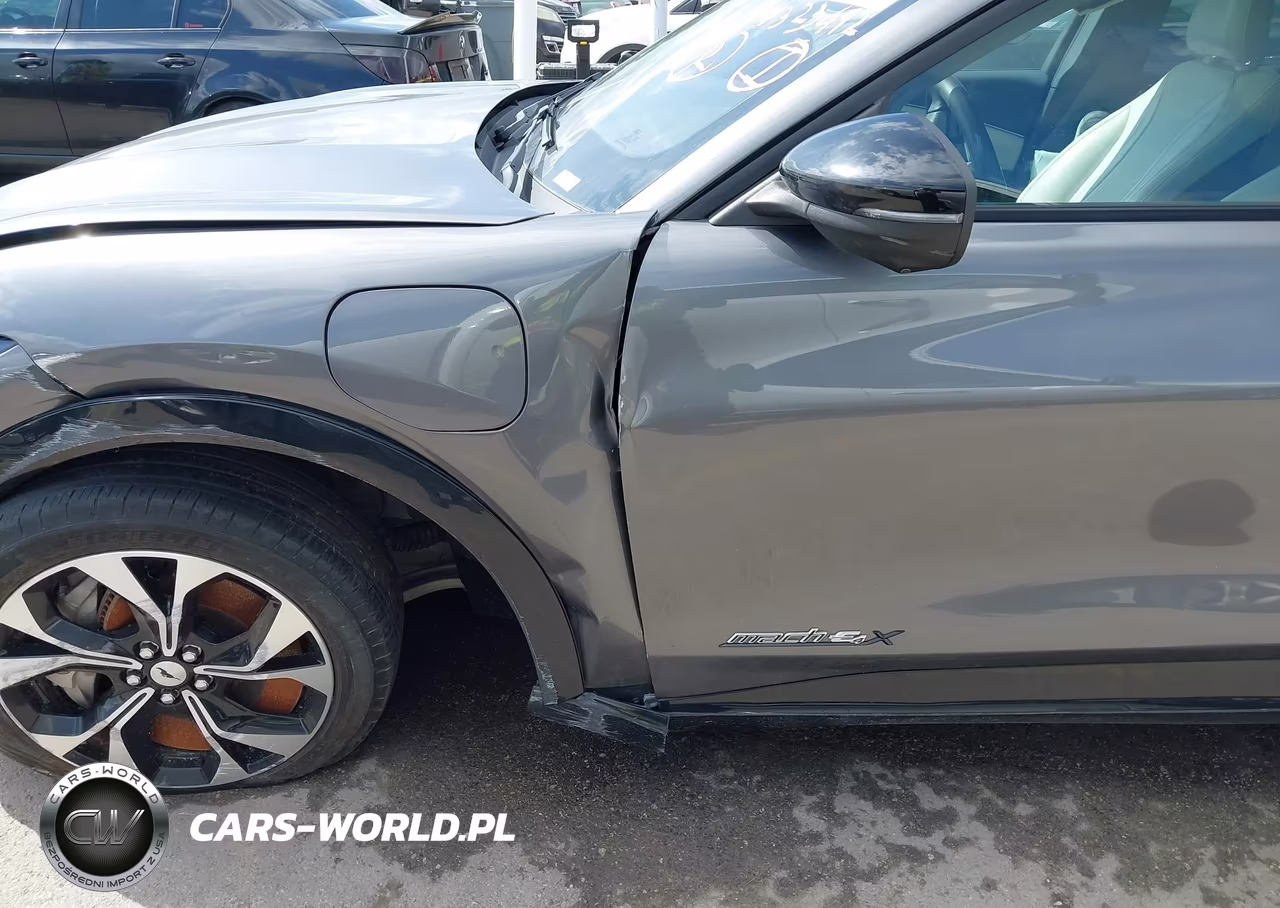 2023 Ford Mustang Mach-E Premium VIN:3FMTK3SU6PMB09798 - 19