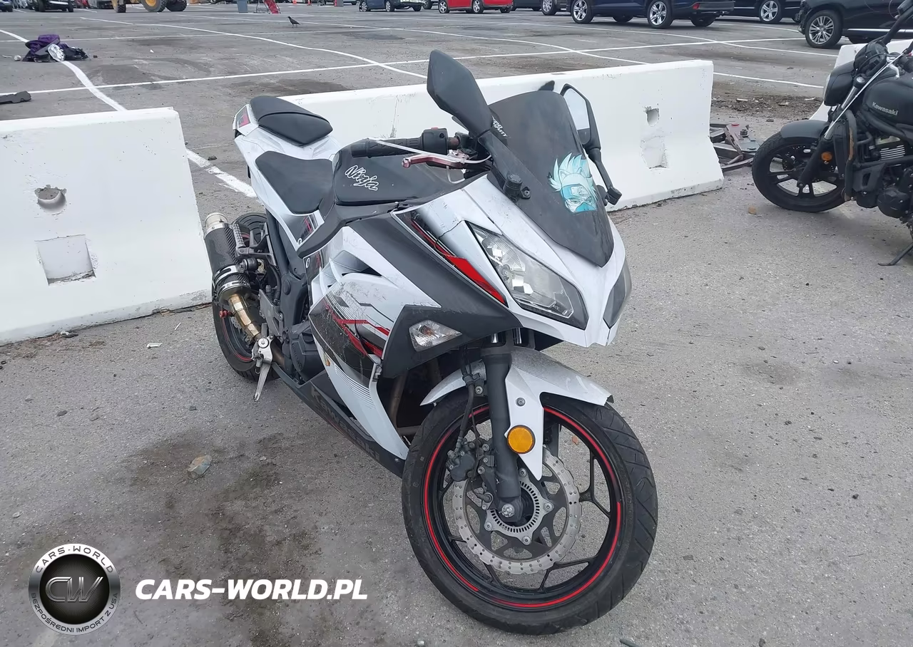 2014 Kawasaki Ex300 B