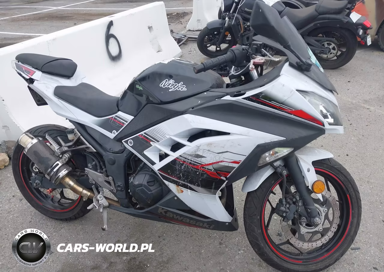 2014 Kawasaki Ex300 B VIN:JKAEX8B18EDA06910 - 12