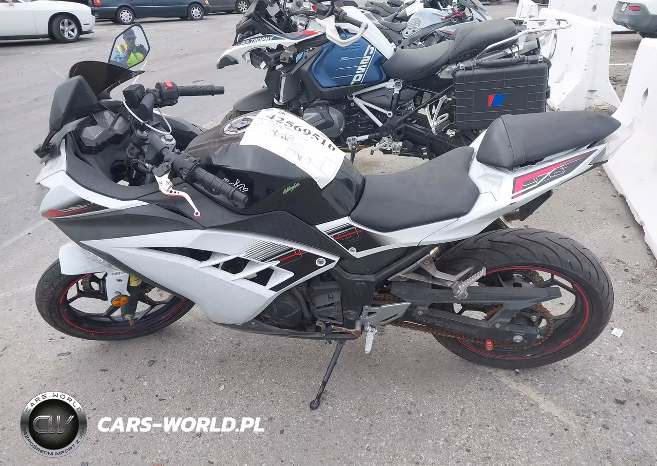2014 Kawasaki Ex300 B VIN:JKAEX8B18EDA06910 - 13