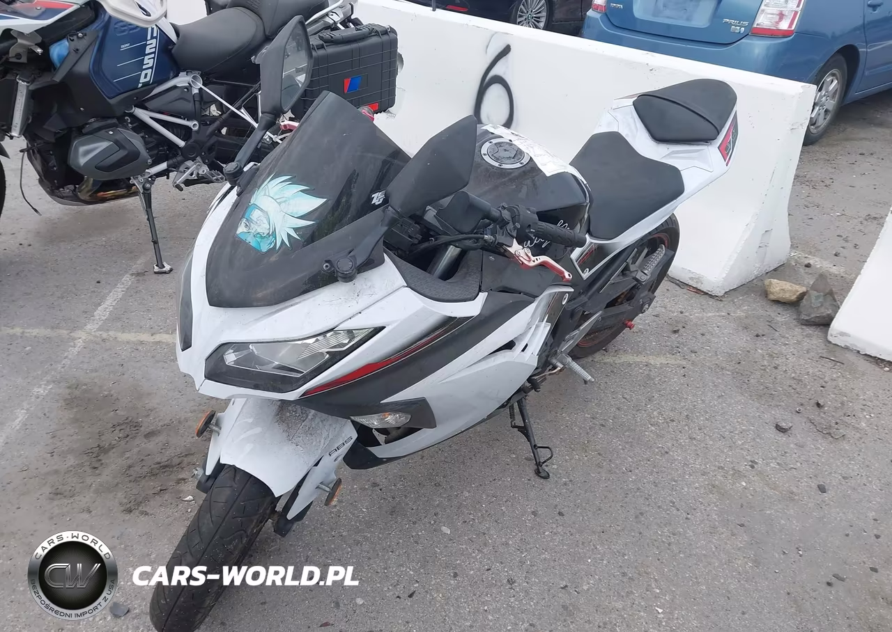 2014 Kawasaki Ex300 B VIN:JKAEX8B18EDA06910 - 2