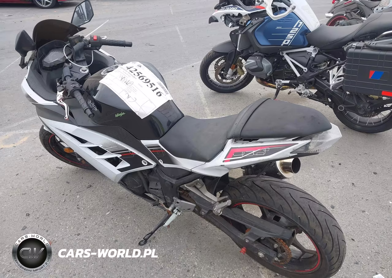 2014 Kawasaki Ex300 B VIN:JKAEX8B18EDA06910 - 3