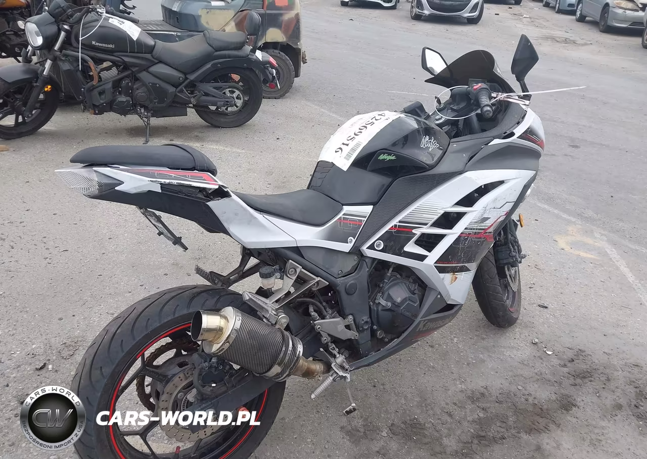 2014 Kawasaki Ex300 B VIN:JKAEX8B18EDA06910 - 4