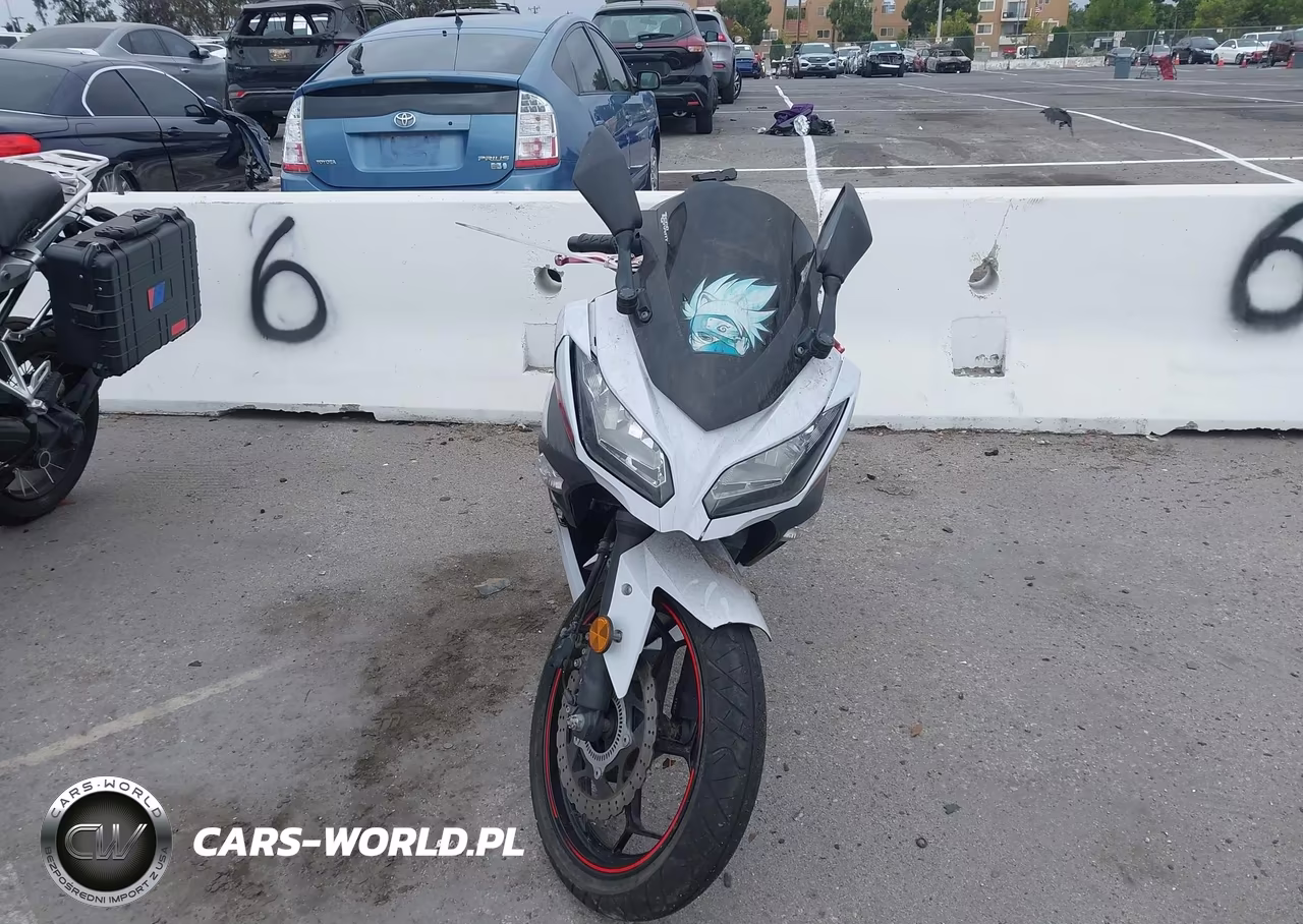 2014 Kawasaki Ex300 B VIN:JKAEX8B18EDA06910 - 5