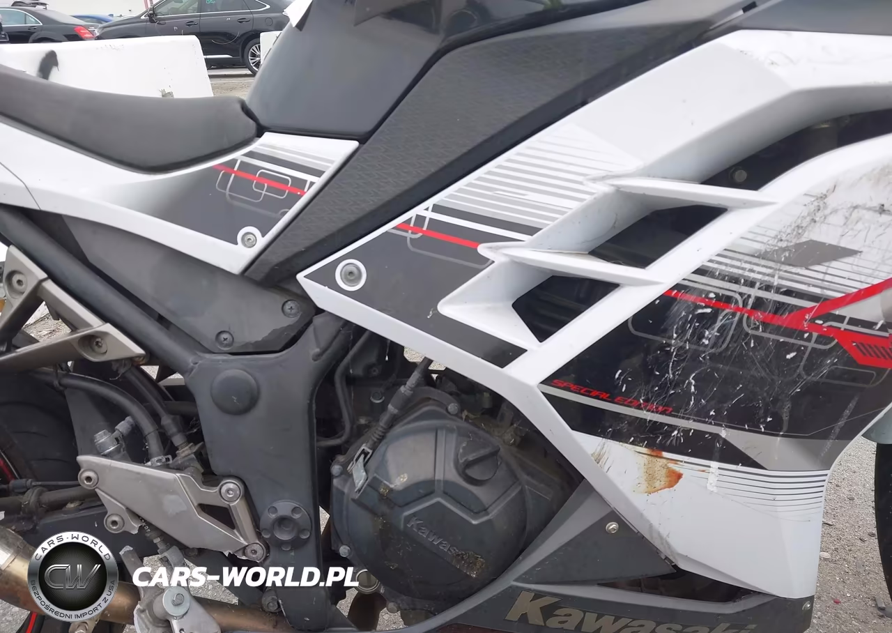 2014 Kawasaki Ex300 B VIN:JKAEX8B18EDA06910 - 8