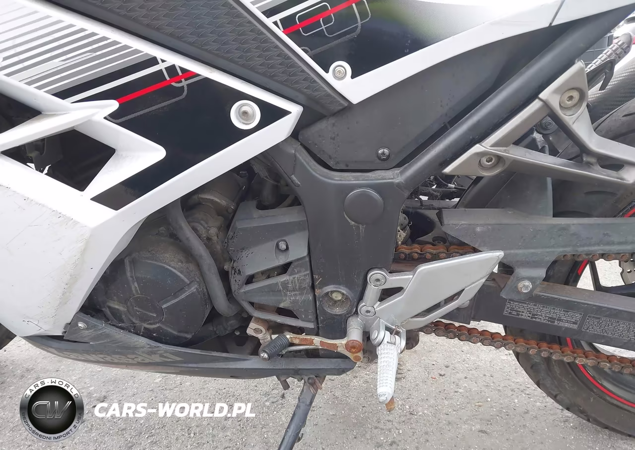 2014 Kawasaki Ex300 B VIN:JKAEX8B18EDA06910 - 9