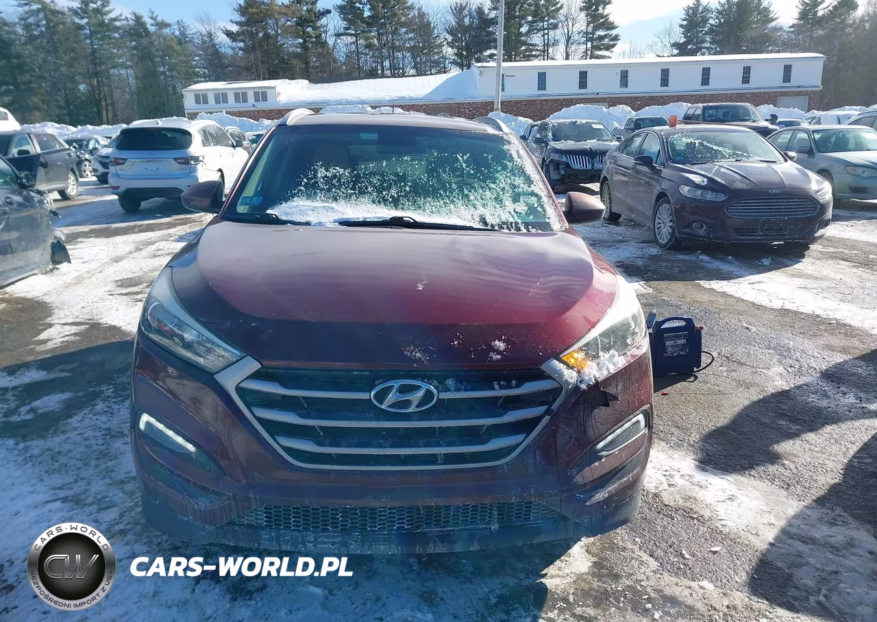 2017 Hyundai Tucson Se VIN:KM8J33A41HU276489 - 12