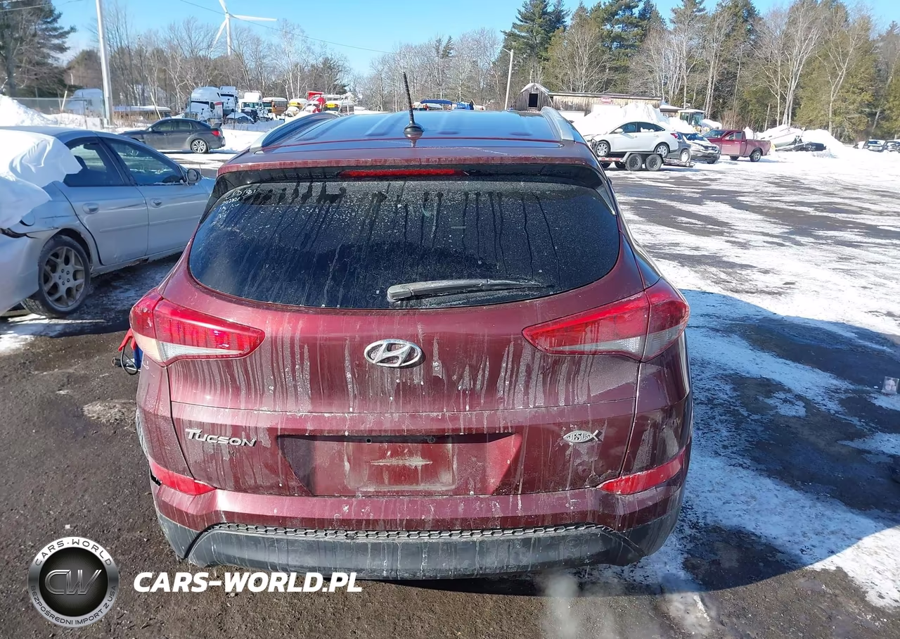 2017 Hyundai Tucson Se VIN:KM8J33A41HU276489 - 16