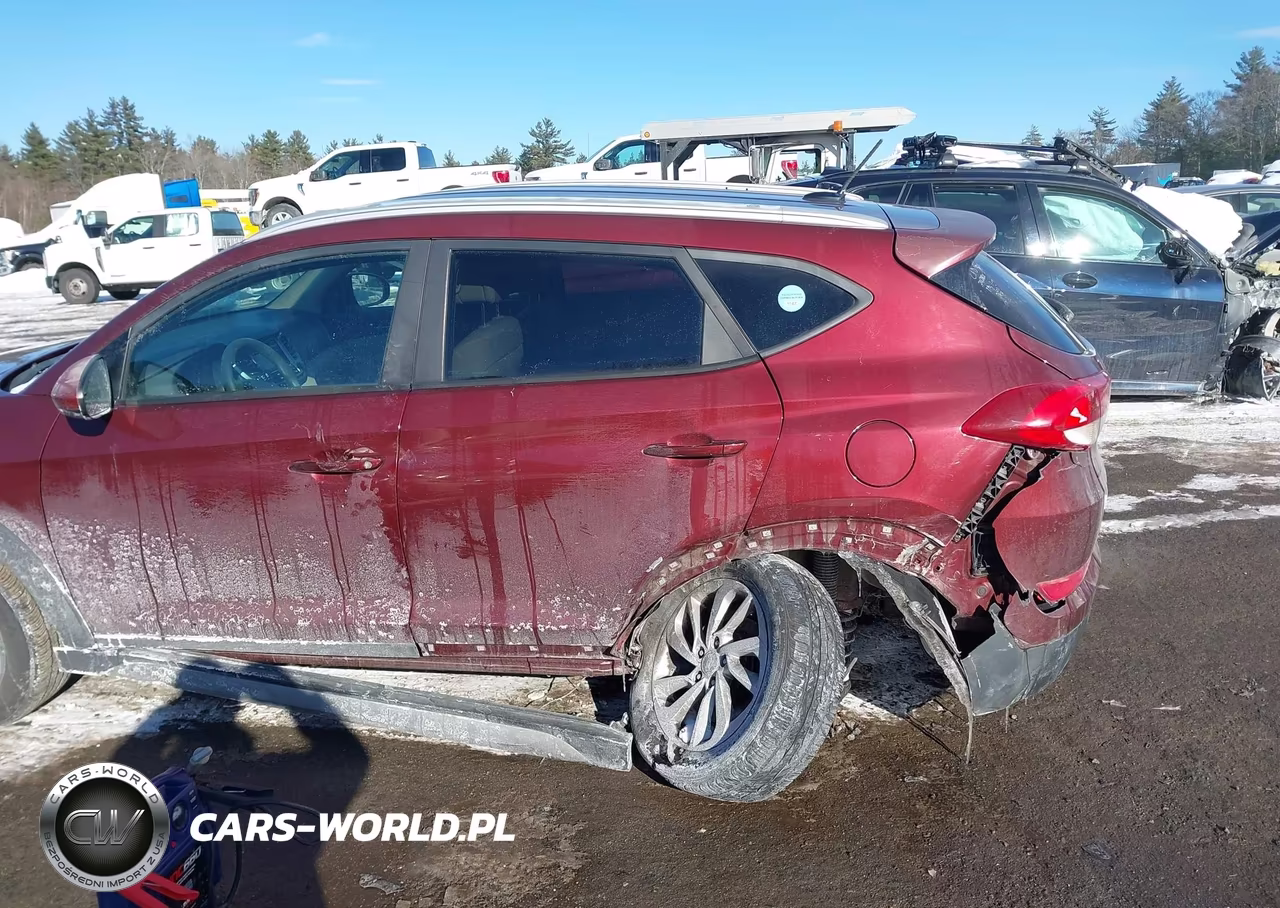 2017 Hyundai Tucson Se VIN:KM8J33A41HU276489 - 17