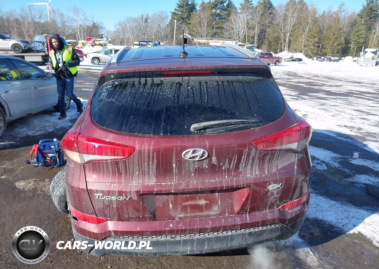2017 Hyundai Tucson Se VIN:KM8J33A41HU276489 - 18
