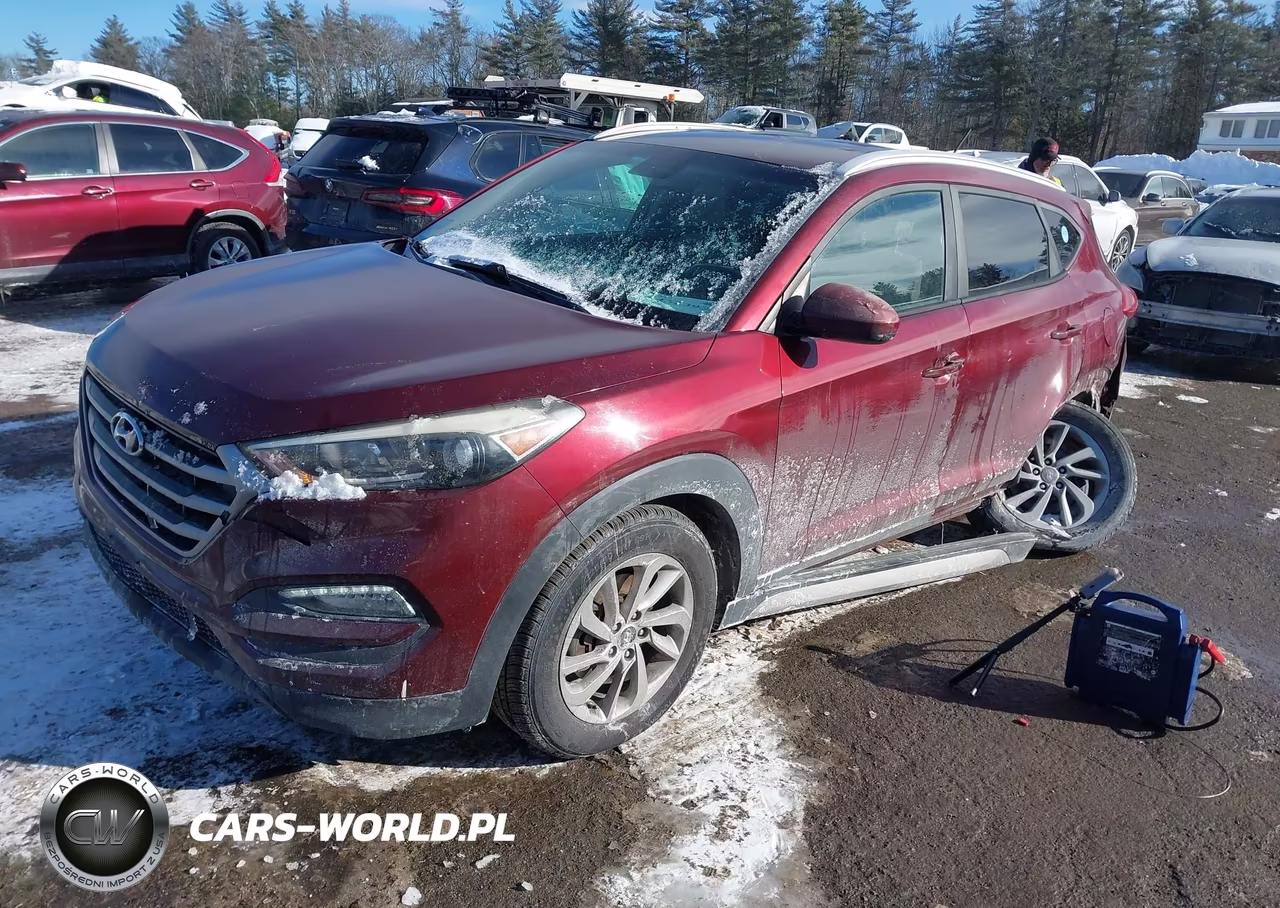 2017 Hyundai Tucson Se VIN:KM8J33A41HU276489 - 2