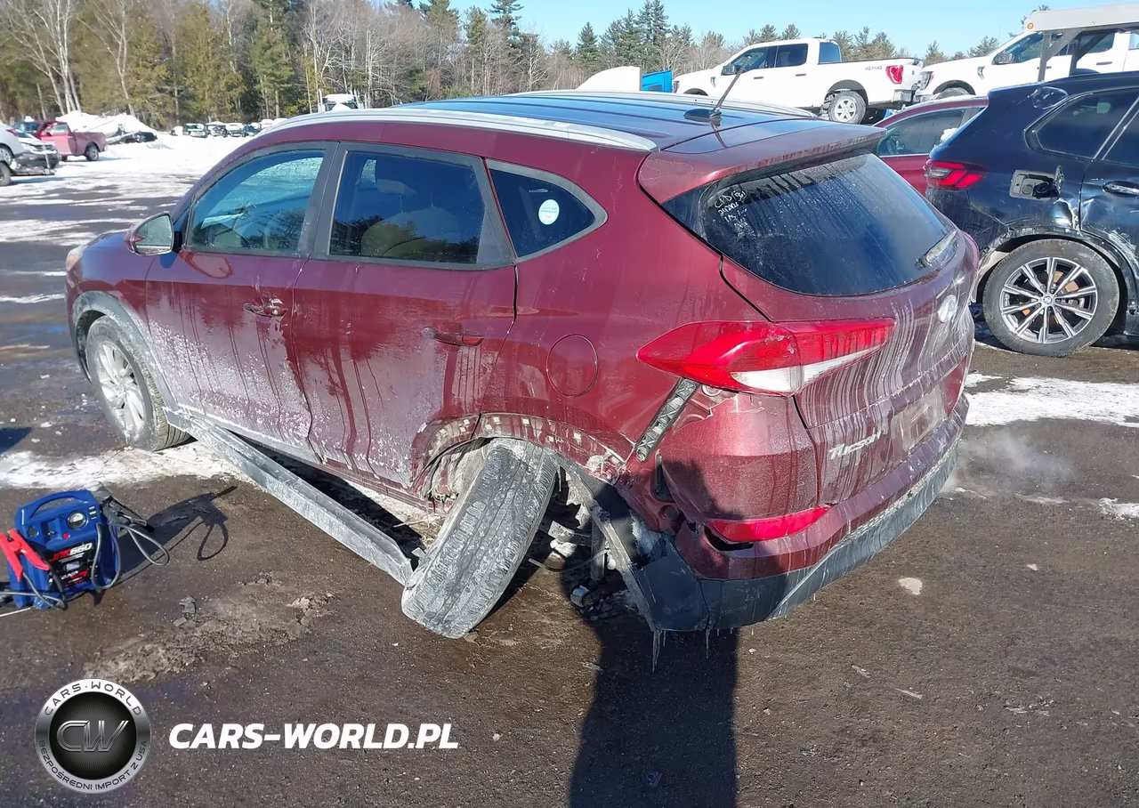 2017 Hyundai Tucson Se VIN:KM8J33A41HU276489 - 3