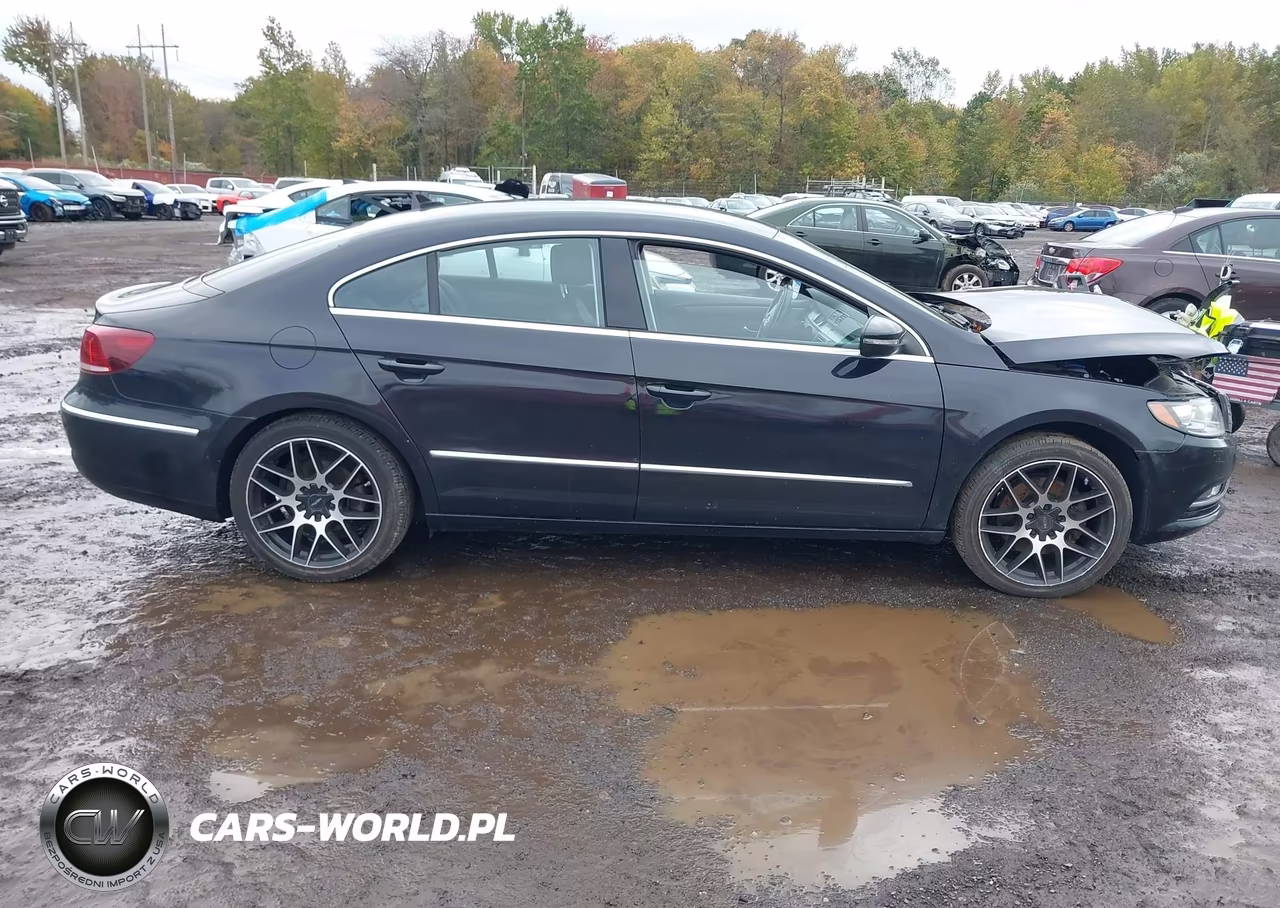 2013 Volkswagen Cc 2.0T Sport Plus VIN:WVWBN7AN0DE513559 - 12