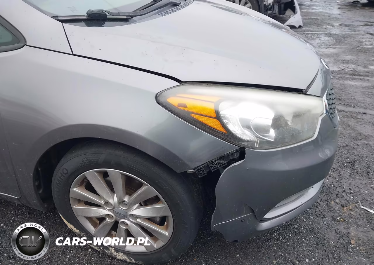 2016 Kia Forte Lx VIN:KNAFX4A6XG5445386 - 6