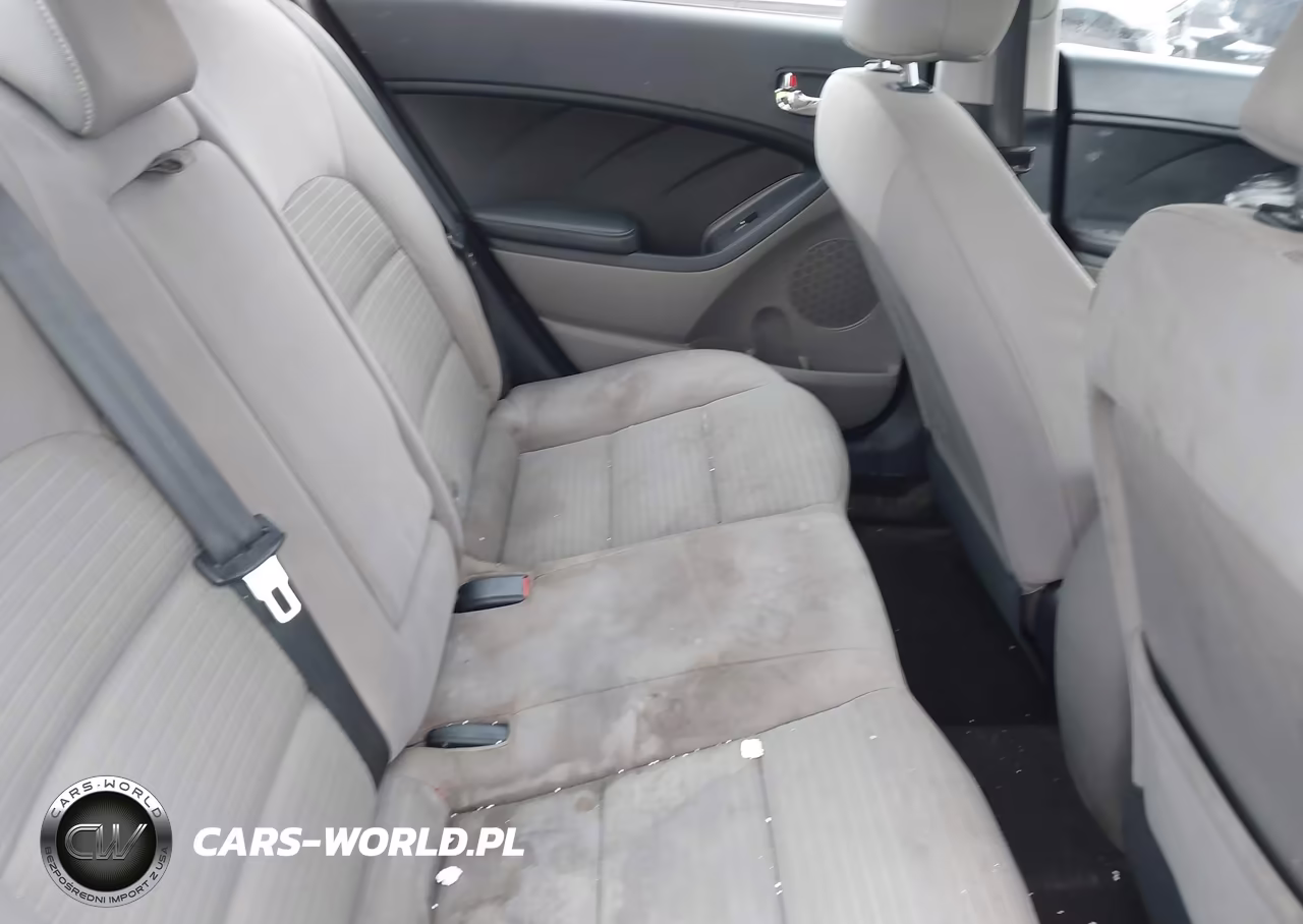 2016 Kia Forte Lx VIN:KNAFX4A6XG5445386 - 8