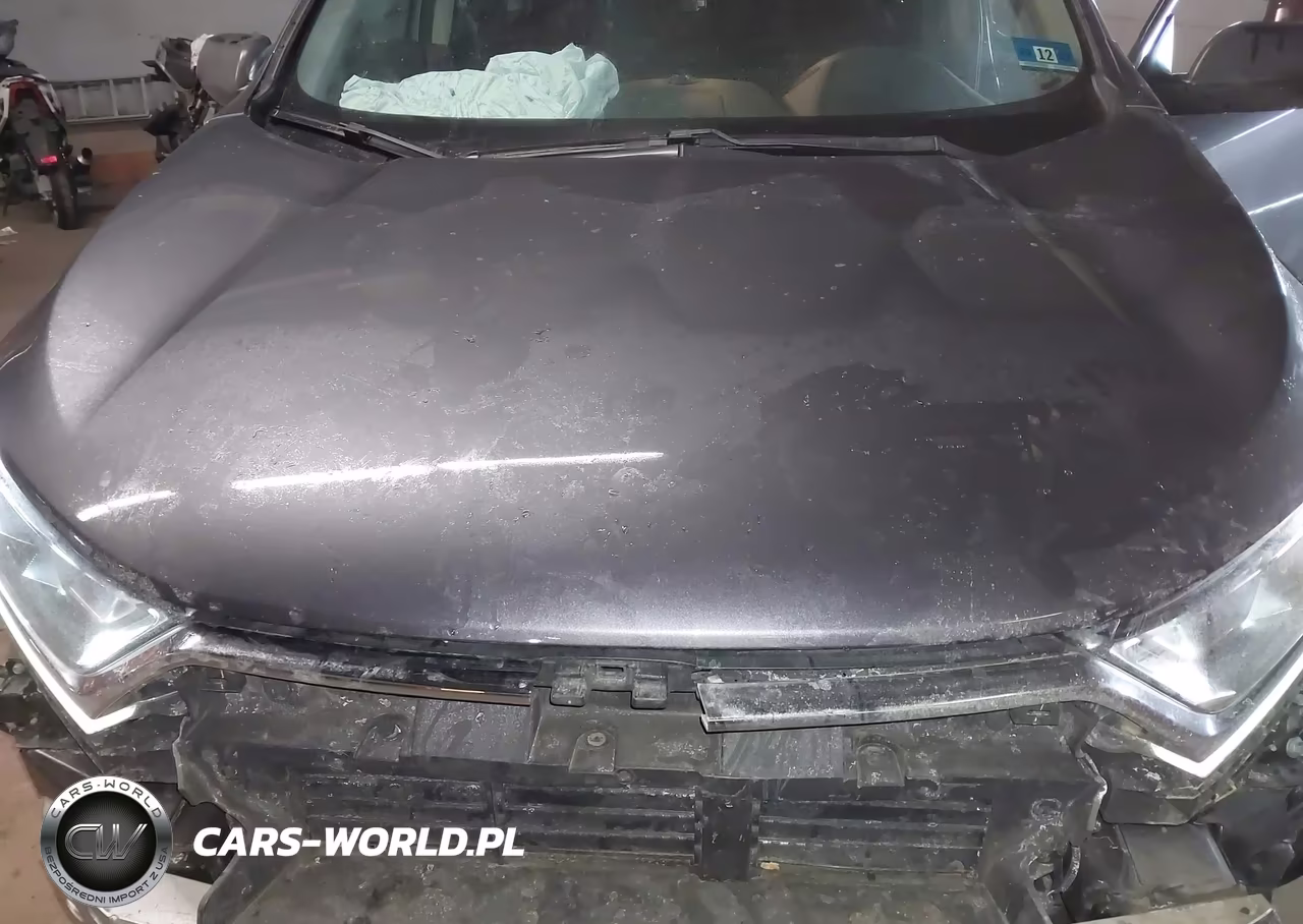 2019 Honda Cr-V Lx VIN:2HKRW6H35KH226516 - 10